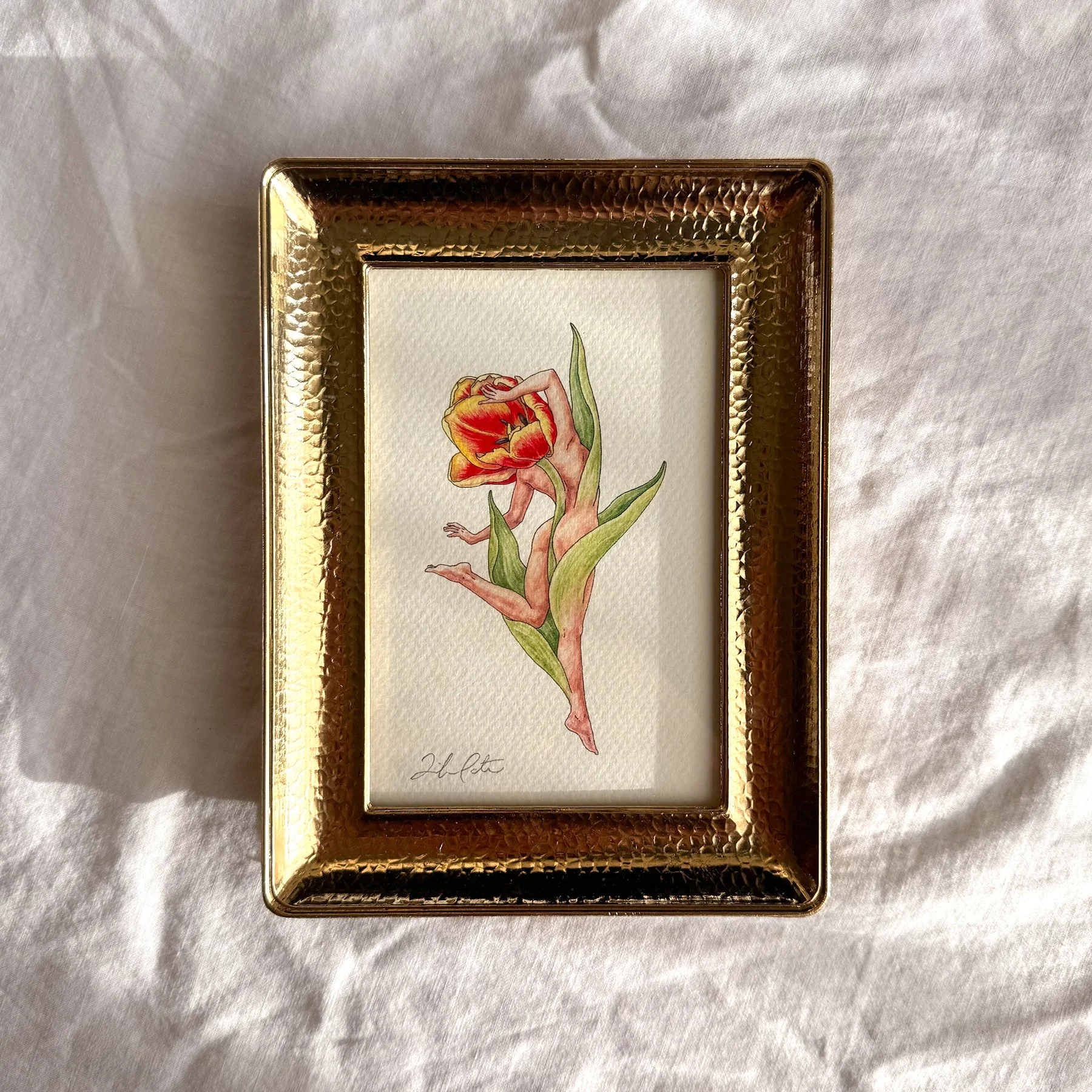 New Beginnings - Tulip