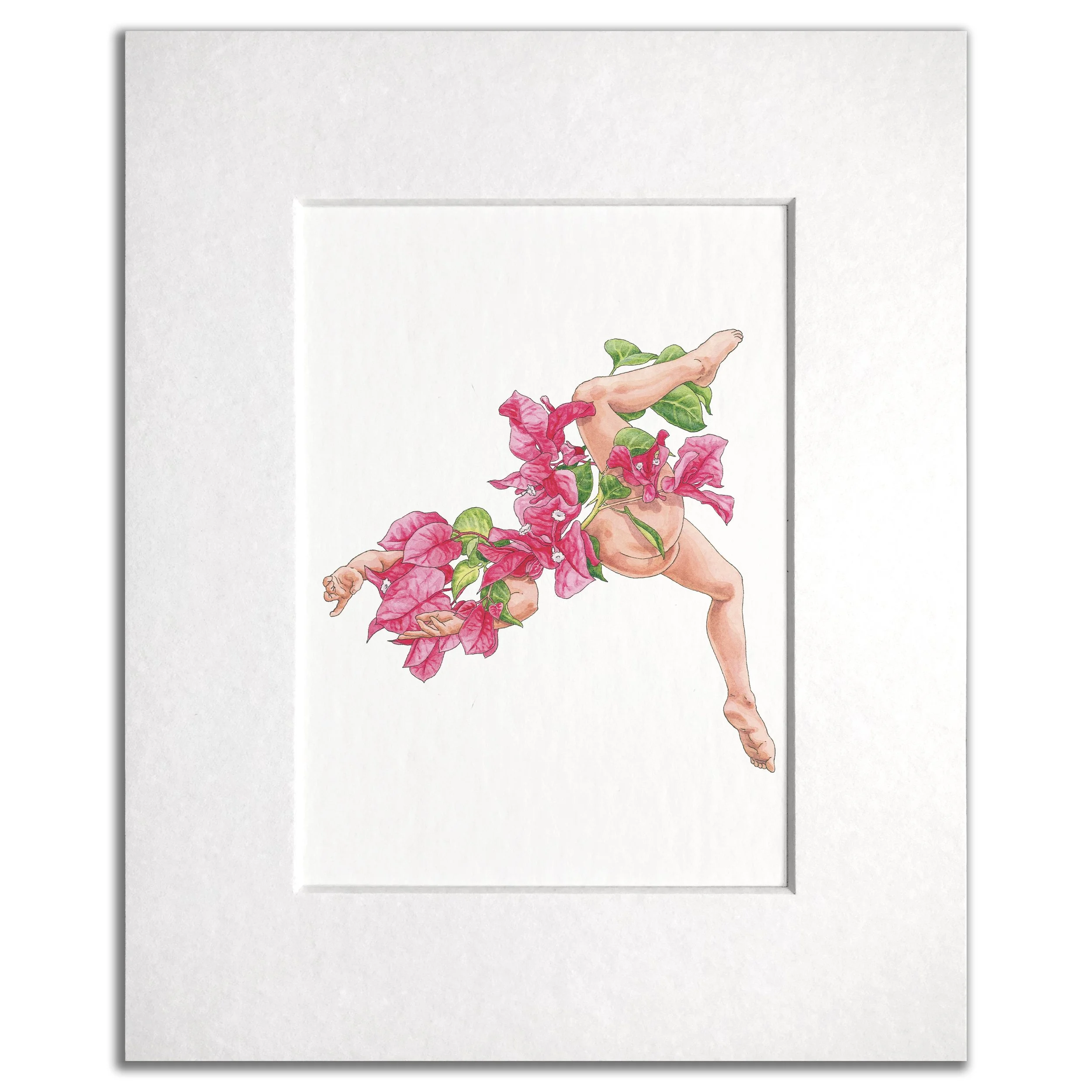 Bougainvillea