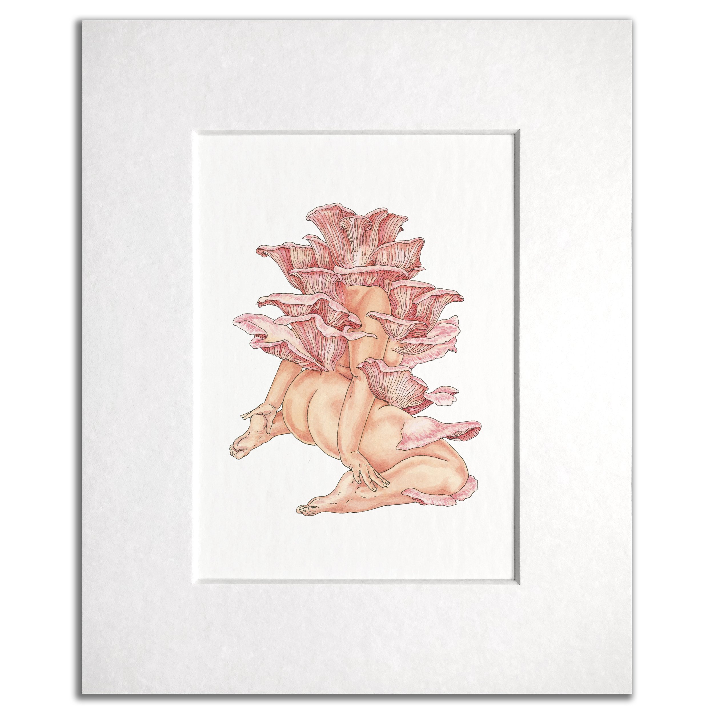 Pink Oyster Mushroom