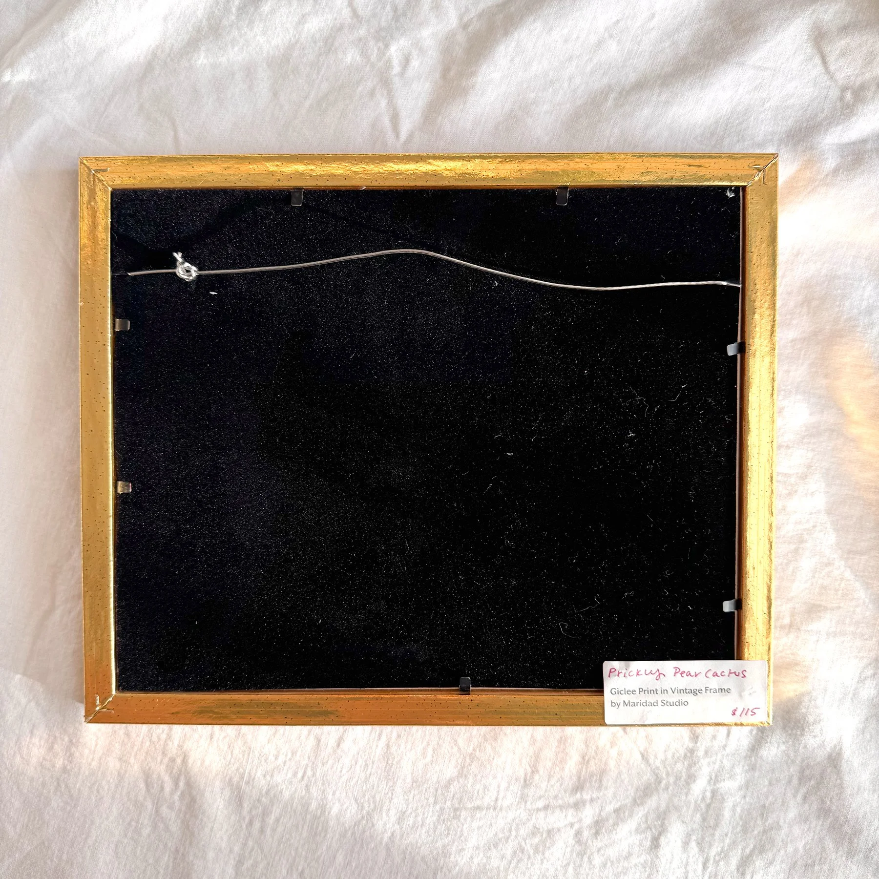 vintageframe-pricklypearpink2.jpg