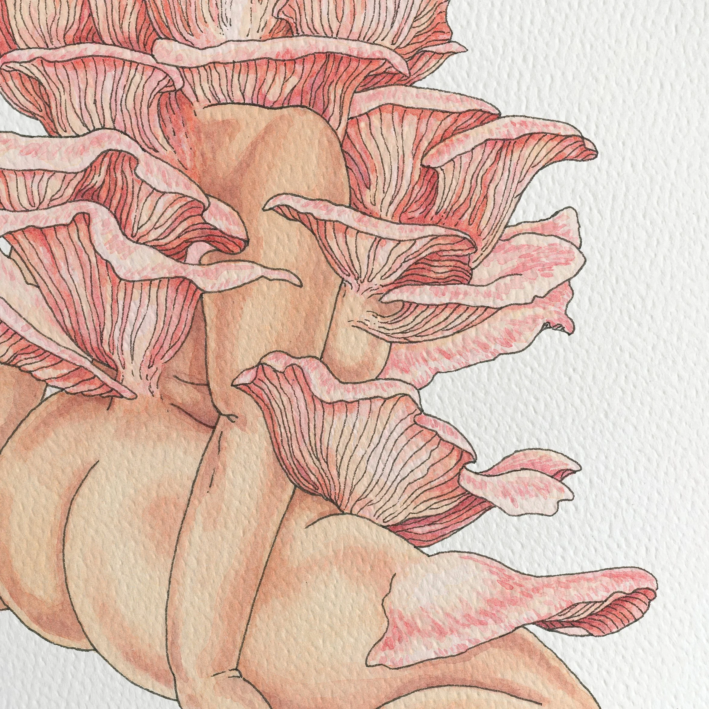 PinkOyster-Detail.jpg
