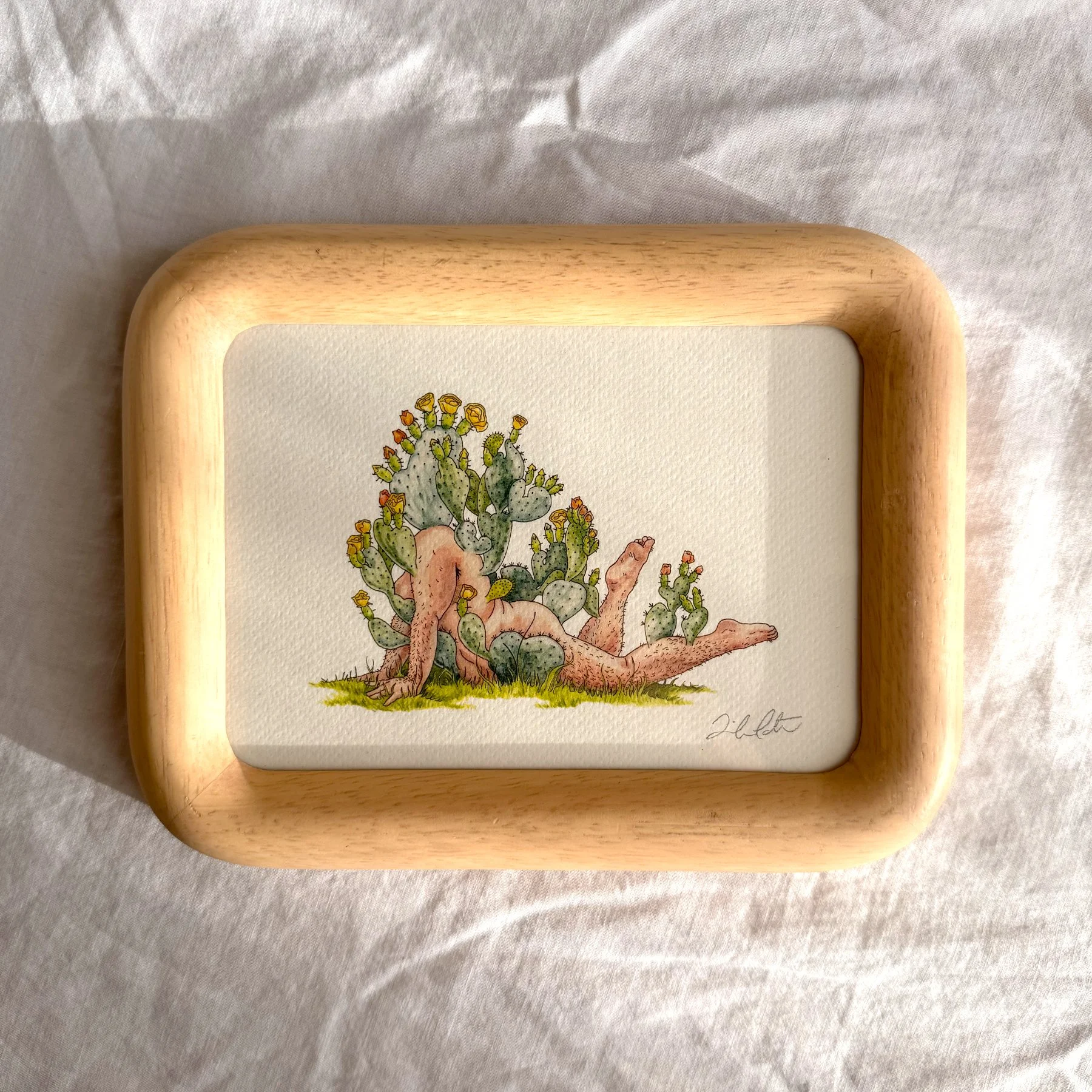 Prickly Pear Cactus