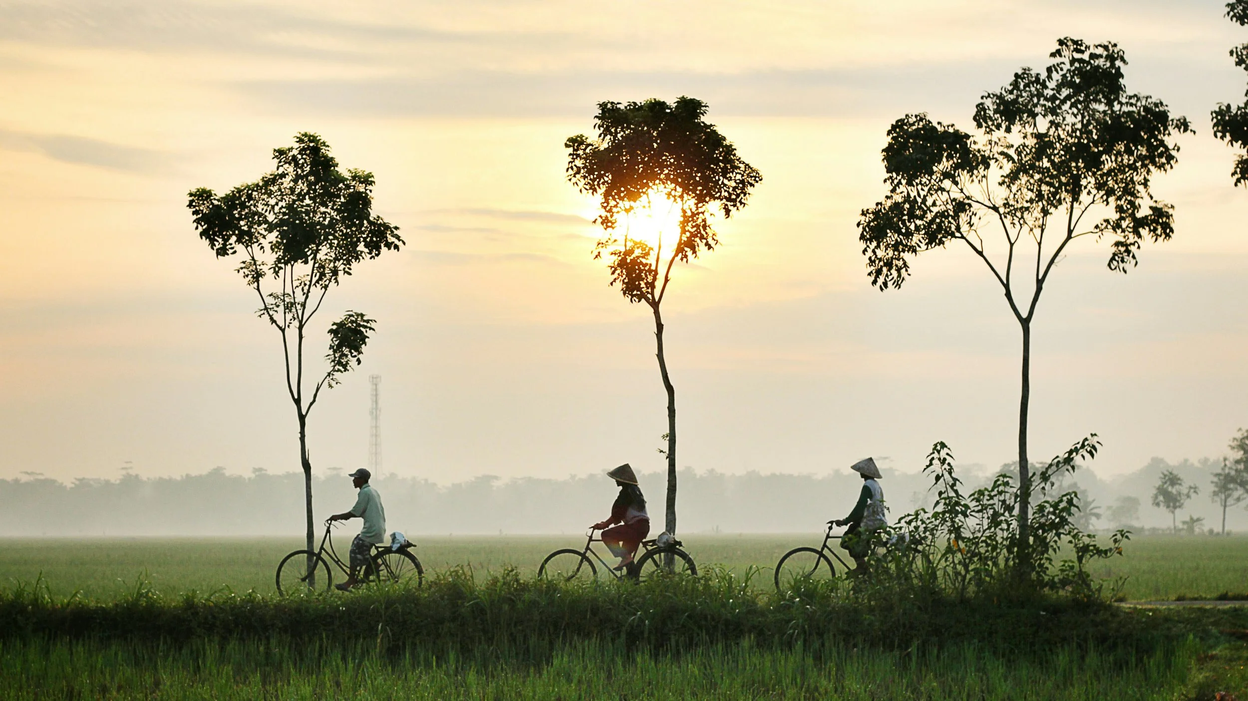 AC Ventures Climate & Sustainability Fund