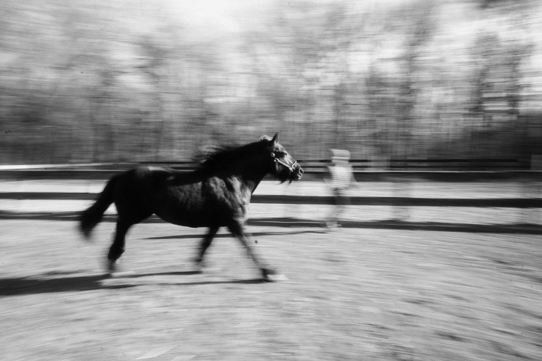 C85214ED-6E3B-475B-BA68-6DAEA94C96C0_1_105_c.jpeg