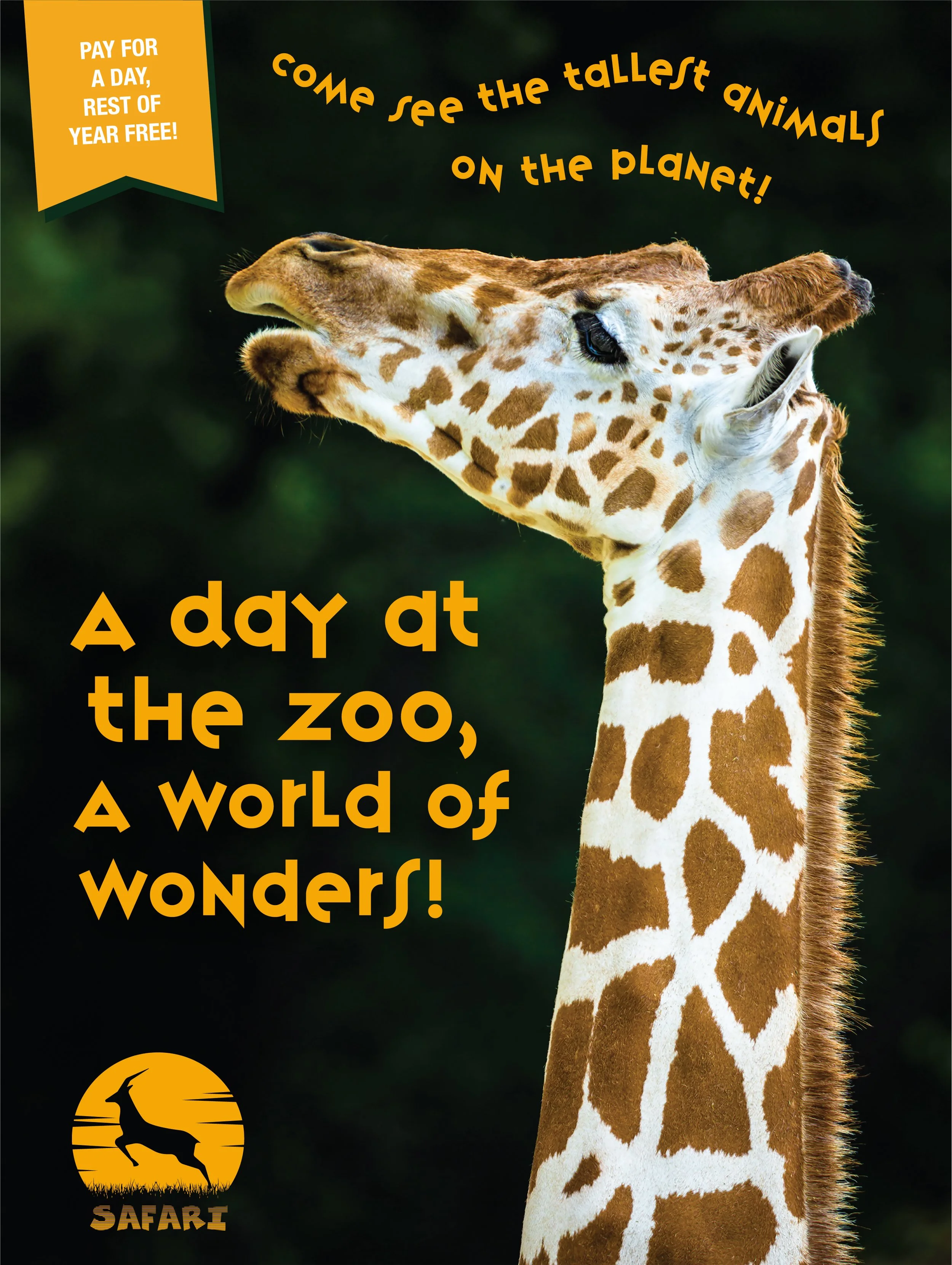 Artboard 1 copy 5.jpg