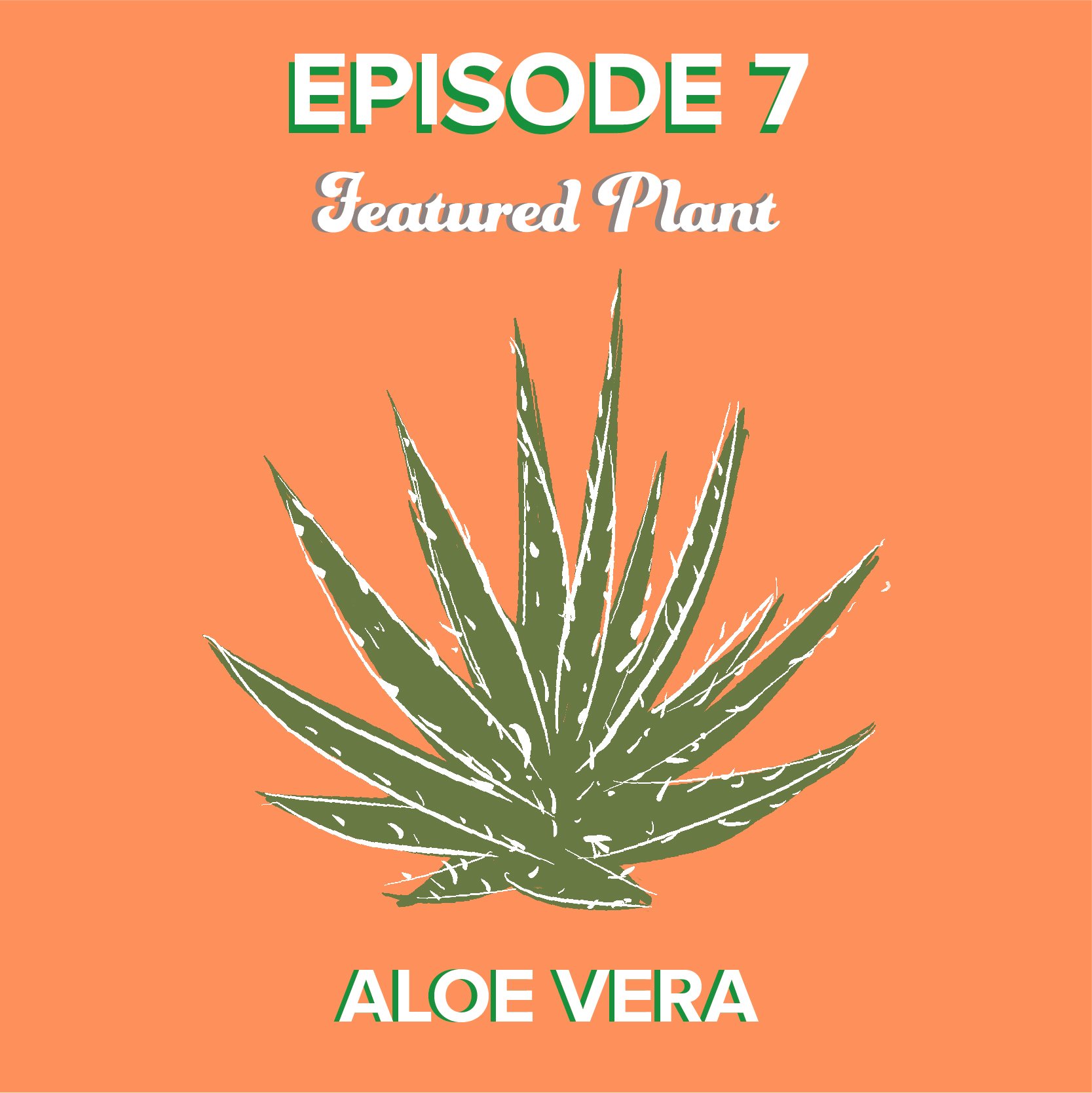 Ep. 8 Plant.jpg