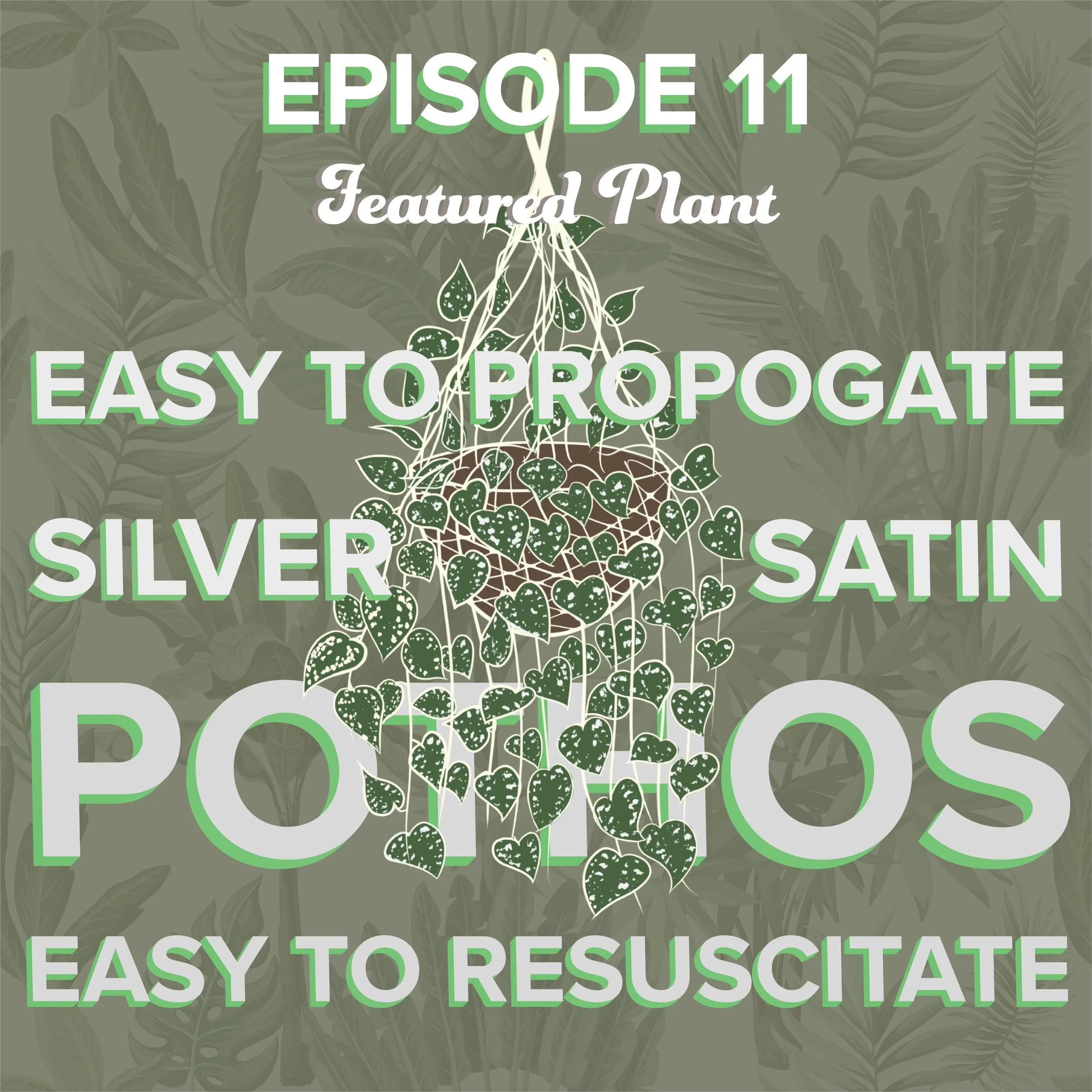 Ep. 11 Plant.jpg