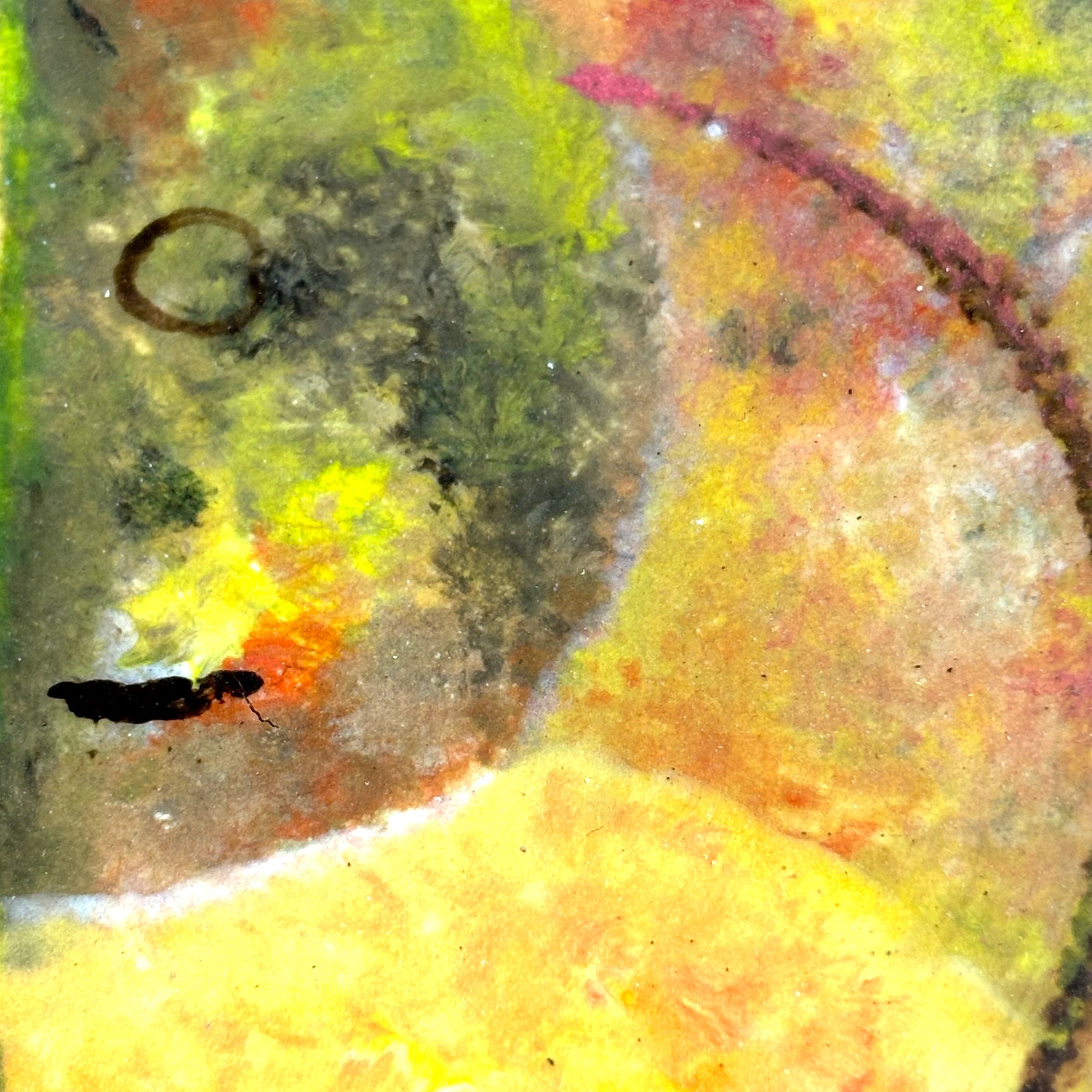 295_PaintedPlate_4_Edit.jpg