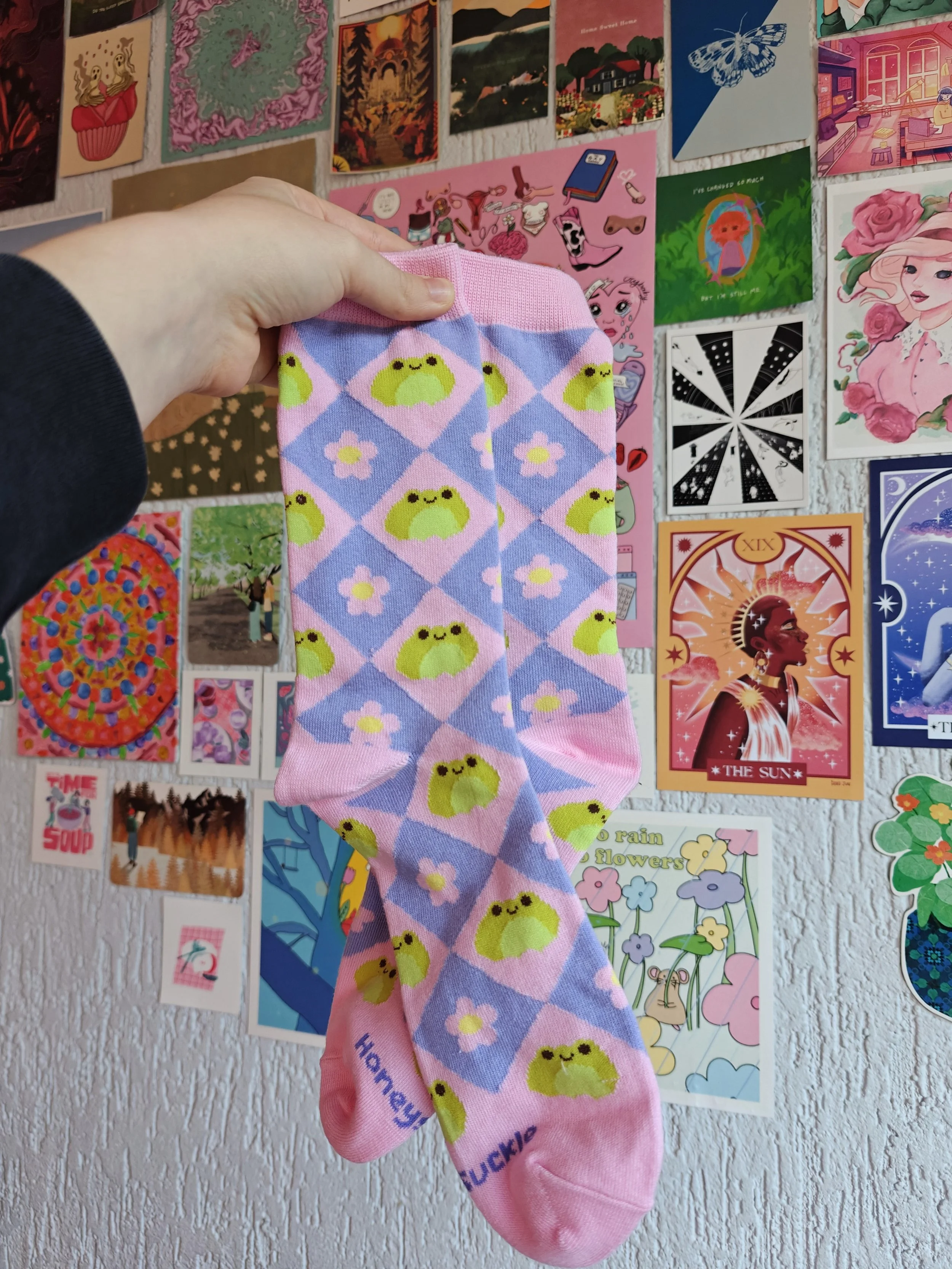 cute frog flower art socks.jpg