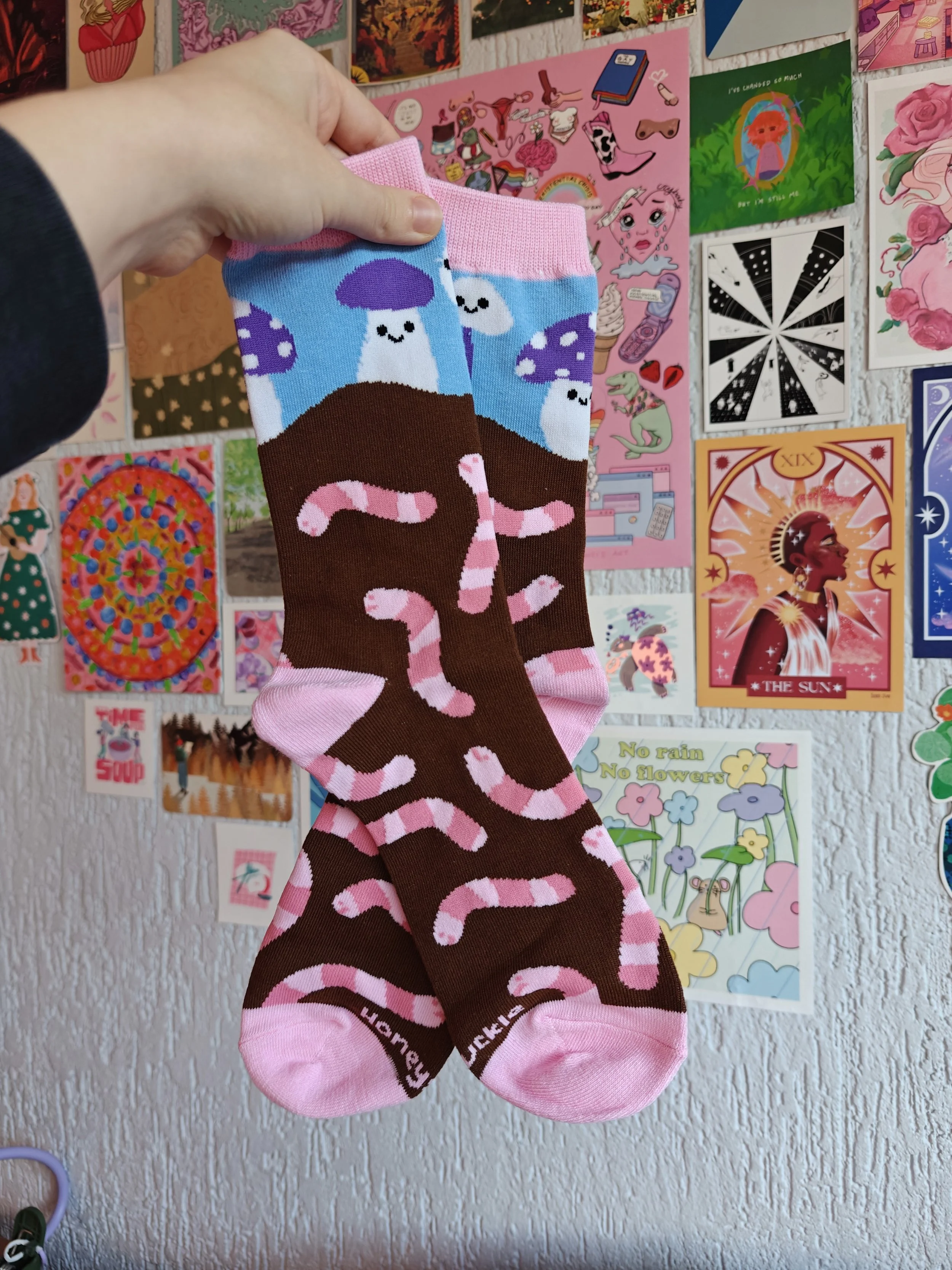 cute worm mushroom art socks pic.jpg