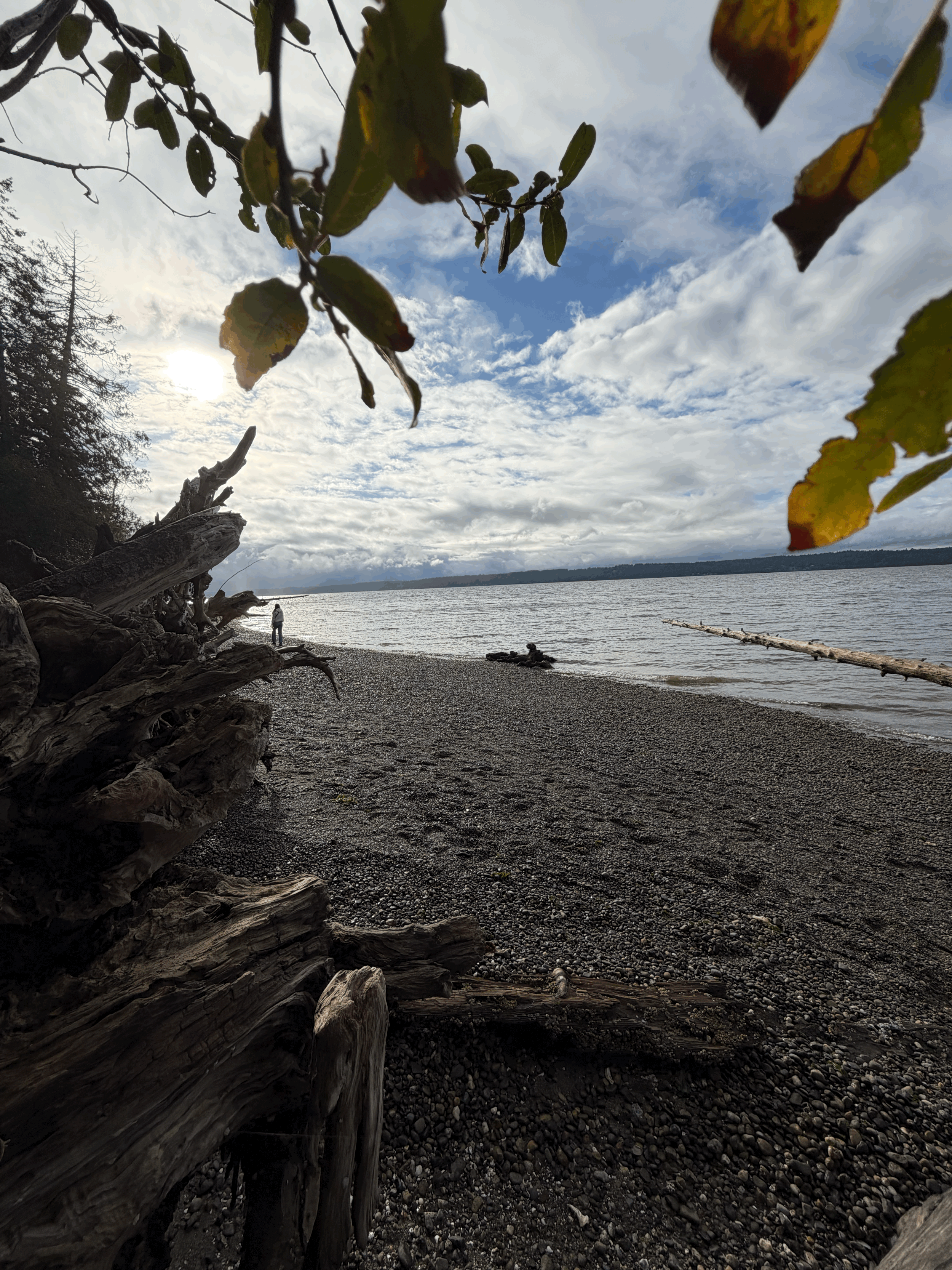 Fall 2025: LIGHT + DARKNESS = WHOLENESS