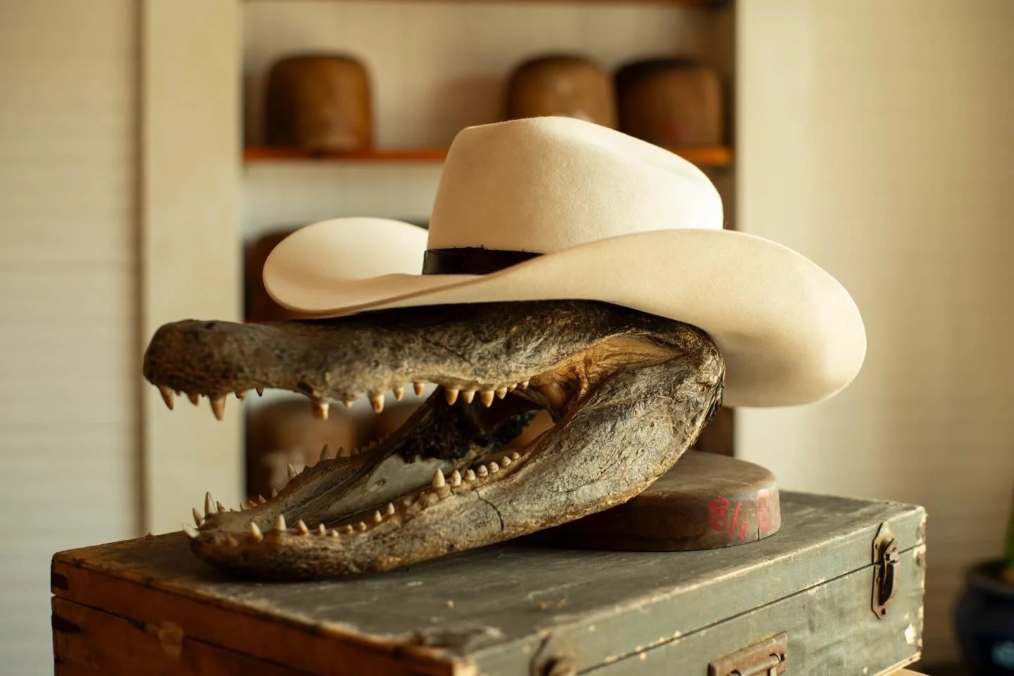 - For Brad Paisley, who refuses to acknowledge any hat color other than white. Western weight nutria with black alligator leather band. Signature sweatband. @bradpaisley

#TilDeathHatCo #Millinery #Ybor