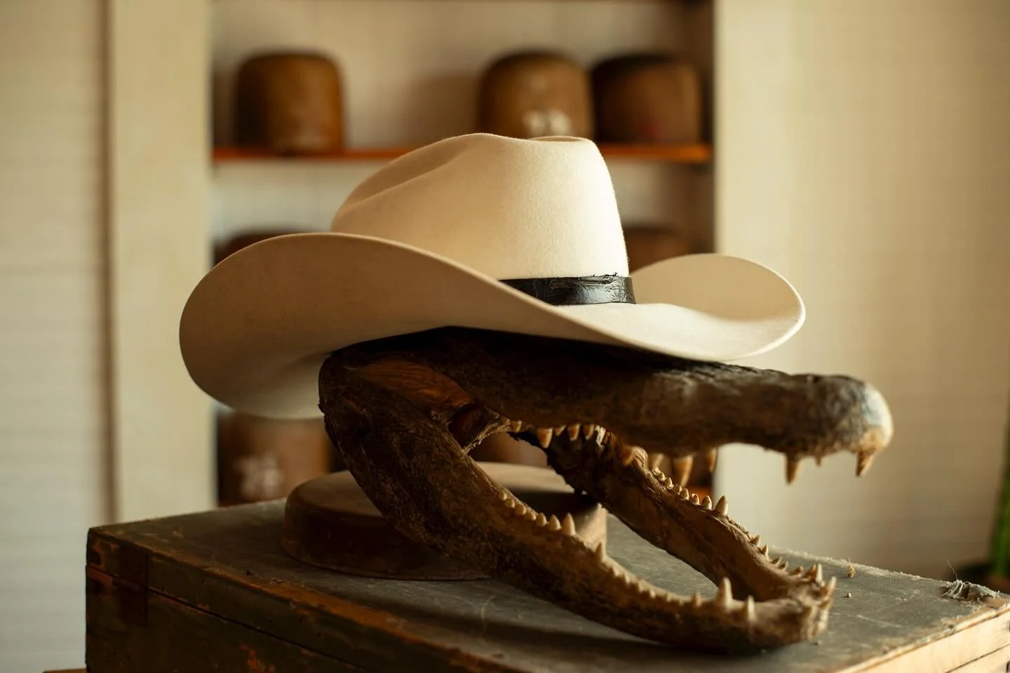 - For Brad Paisley, who refuses to acknowledge any hat color other than white. Western weight nutria with black alligator leather band. Signature sweatband. @bradpaisley

#TilDeathHatCo #Millinery #Ybor