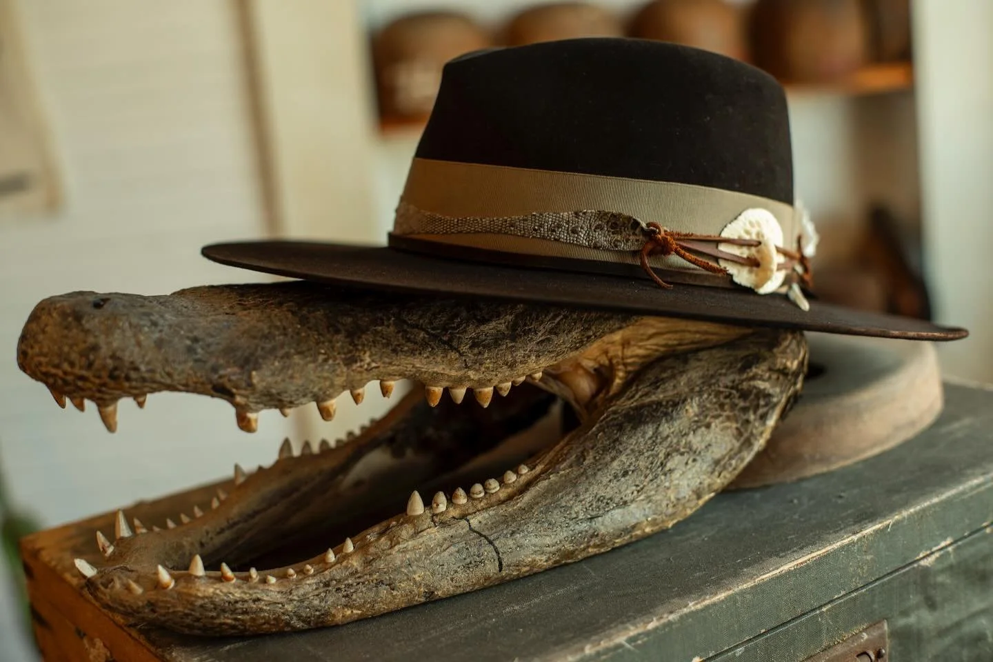 - More of that Florida shit for Ken.

#TilDeathHatCo #Millinery #Ybor