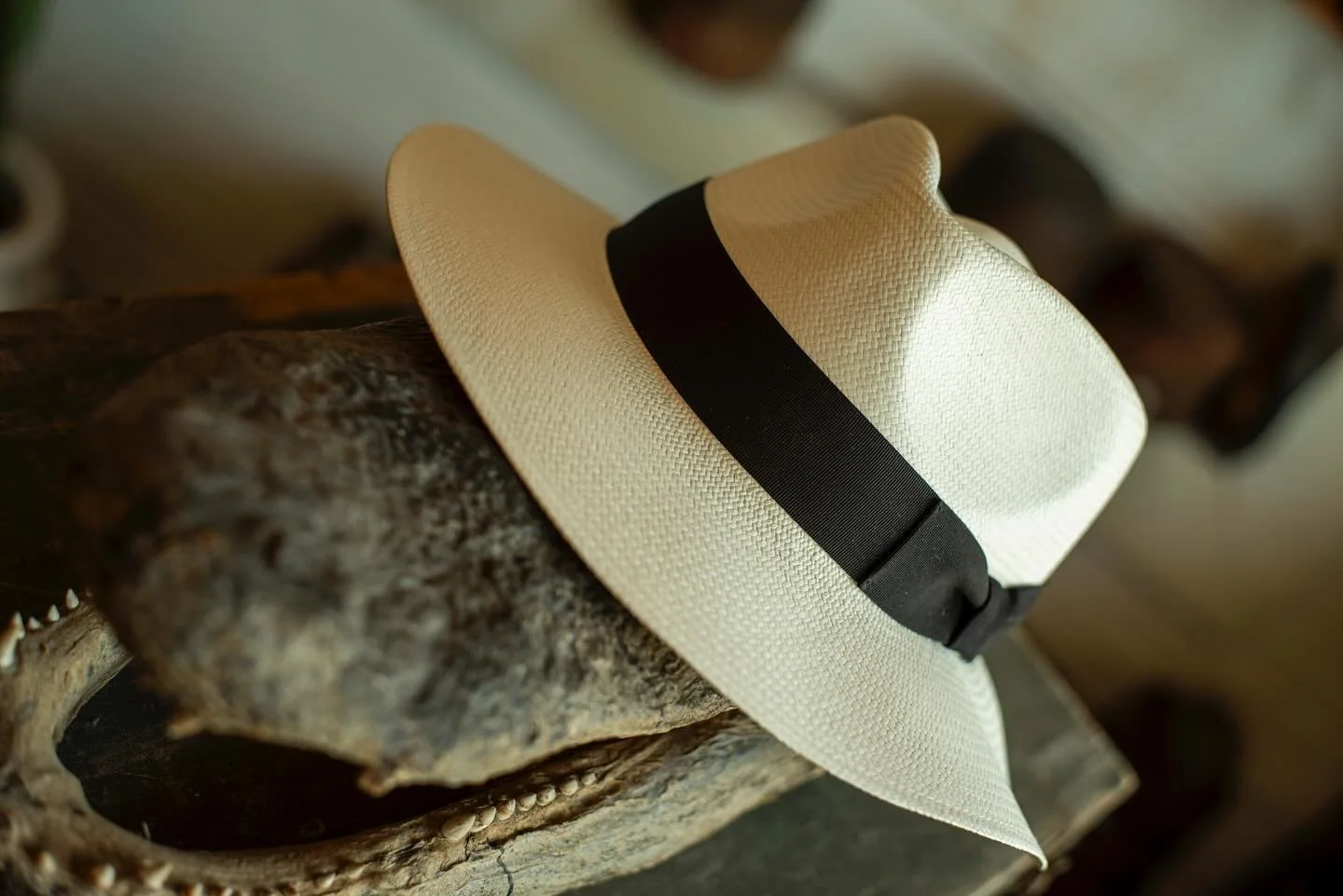 - We’ve got the Panamas. Available at @bibntux until we do something crazy next month. 
#TilDeathHatCo #BibNTux #Tampa