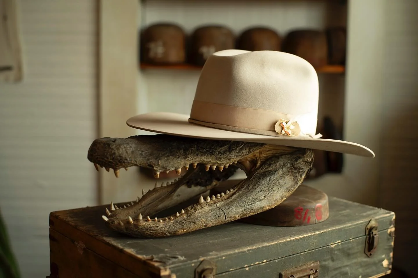 - For the Commissioner. Western weight nutria w/ alligator bone sliver, egret feather, and vintage grosgrain band.
#TilDeathHatCo #Millinery #Ybor