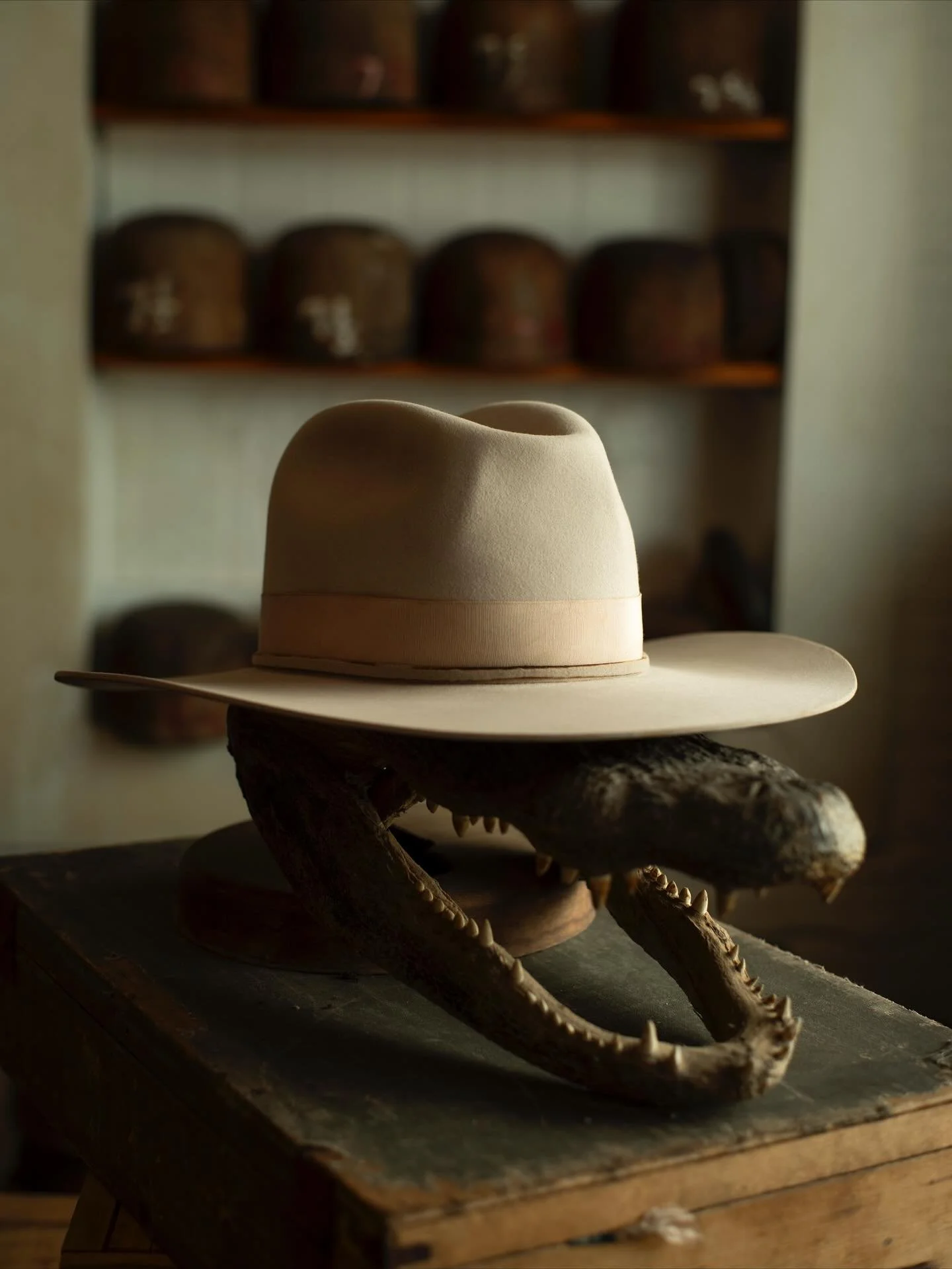 - For the Commissioner. Western weight nutria w/ alligator bone sliver, egret feather, and vintage grosgrain band.
#TilDeathHatCo #Millinery #Ybor