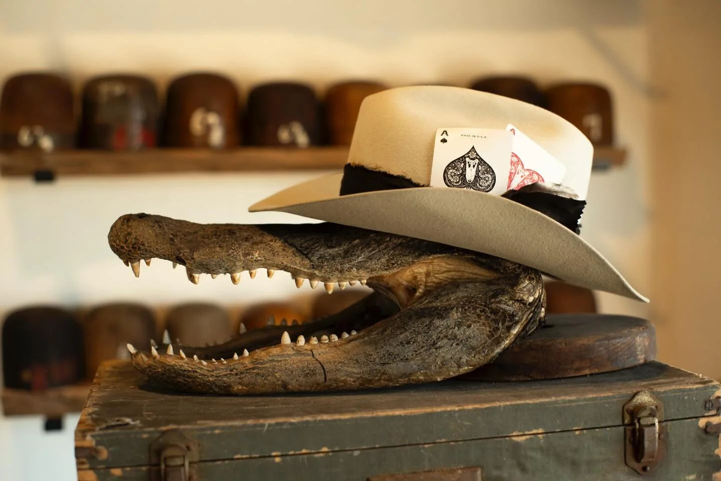 - Aces for Stephanie. Short-brimmed &ldquo;Tejana&rdquo; look with Irish linen, self-match band, lil feather, and a couple of our own aces. Shipping out to South Dakota.

#TilDeathHatCo #Millinery #Ybor