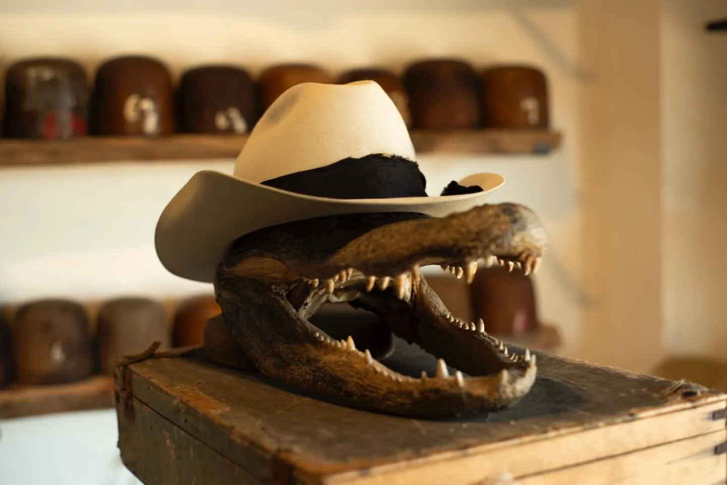 - Aces for Stephanie. Short-brimmed &ldquo;Tejana&rdquo; look with Irish linen, self-match band, lil feather, and a couple of our own aces. Shipping out to South Dakota.

#TilDeathHatCo #Millinery #Ybor