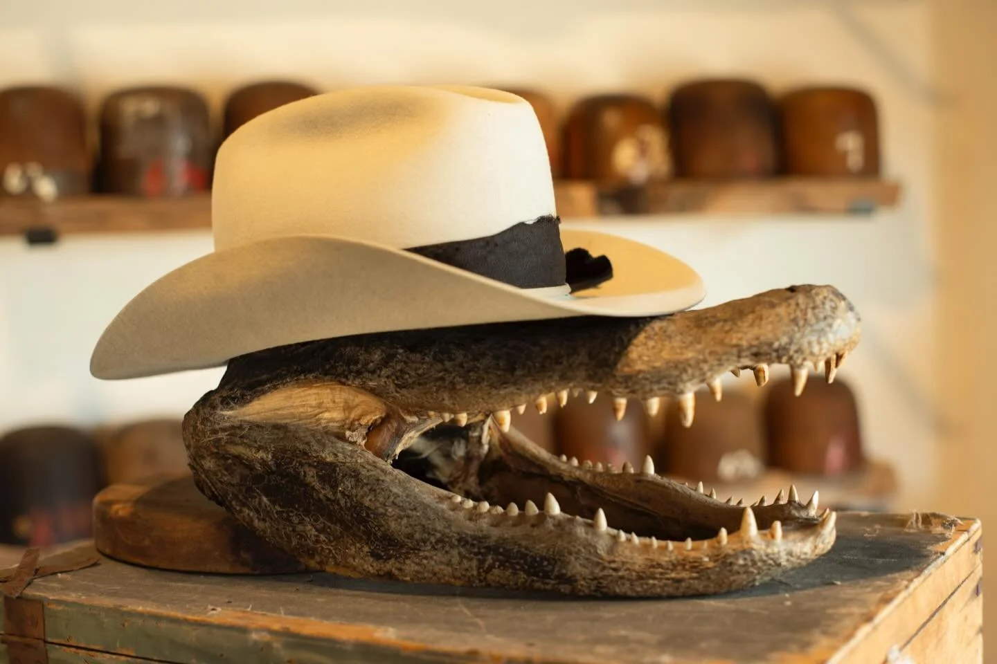 - Aces for Stephanie. Short-brimmed &ldquo;Tejana&rdquo; look with Irish linen, self-match band, lil feather, and a couple of our own aces. Shipping out to South Dakota.

#TilDeathHatCo #Millinery #Ybor