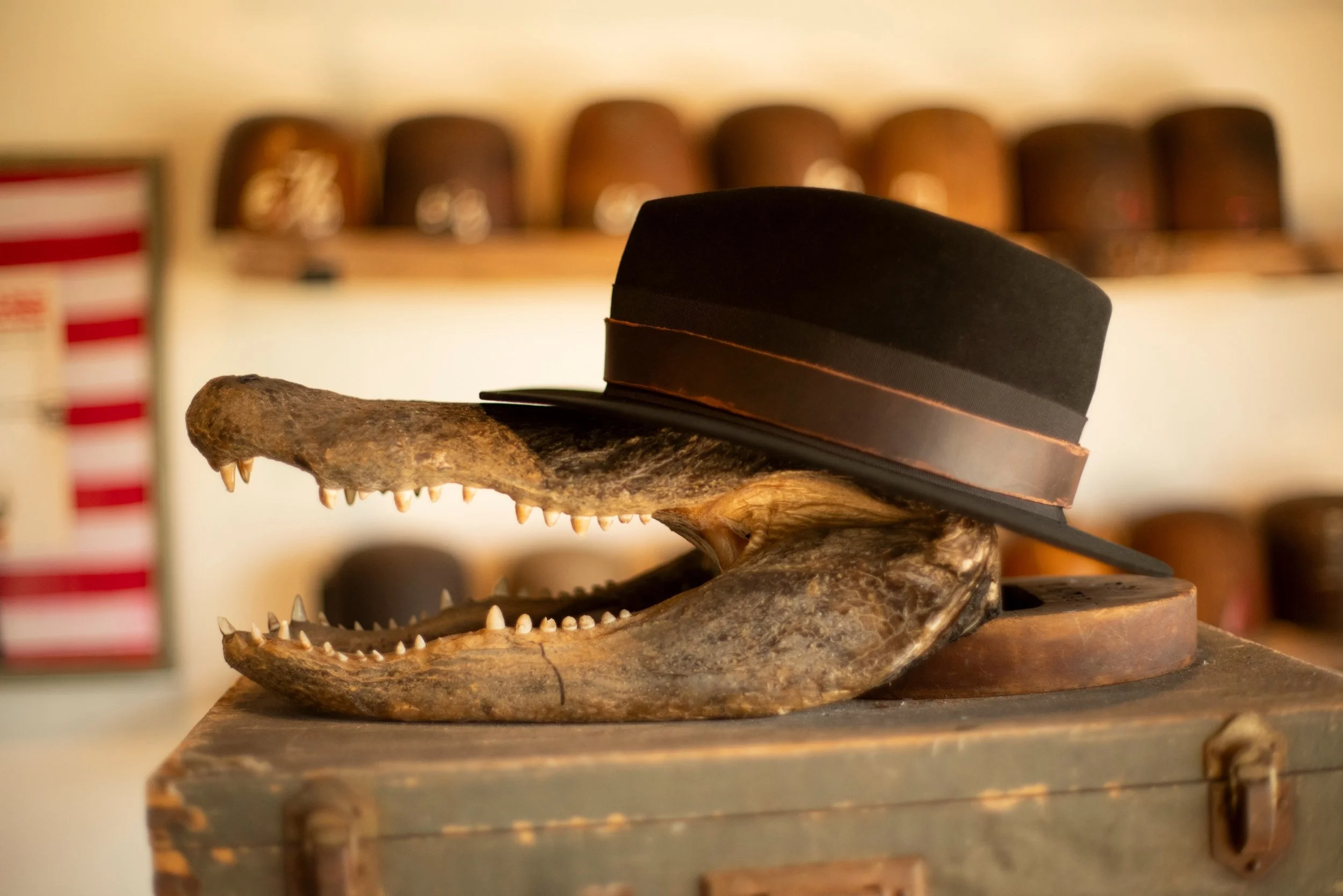 - Larry&rsquo;s No. 3. Dress weight nutria, tight fedora. 

#TilDeathHatCo #Millinery #Ybor 
/