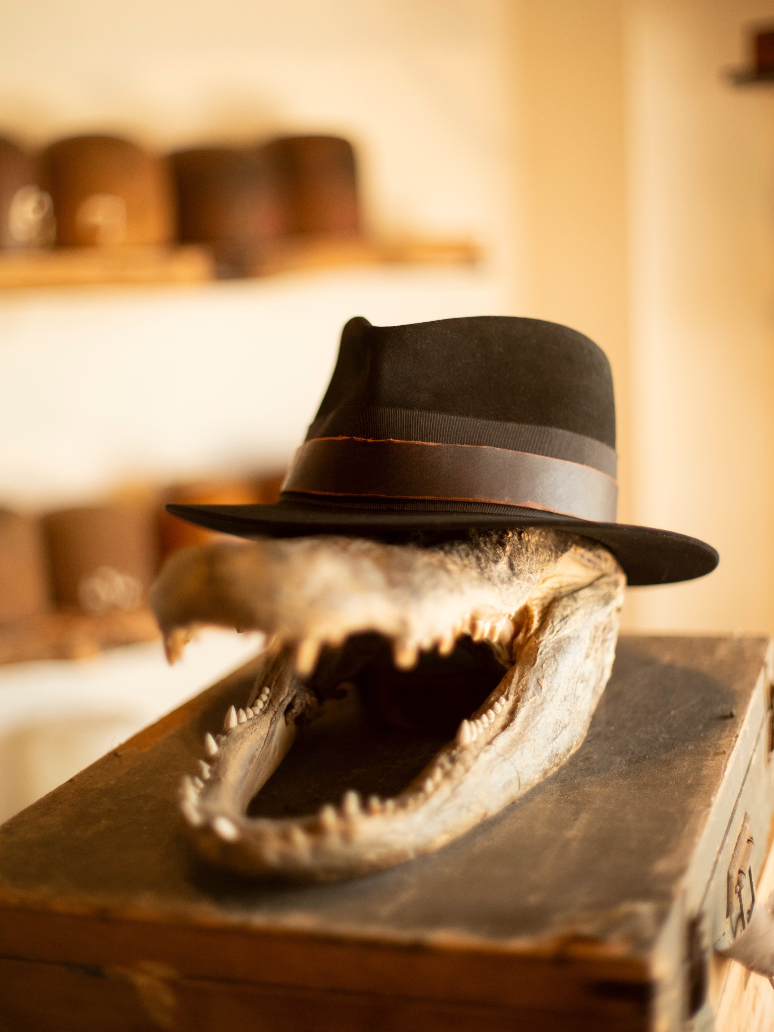 - Larry&rsquo;s No. 3. Dress weight nutria, tight fedora. 

#TilDeathHatCo #Millinery #Ybor 
/