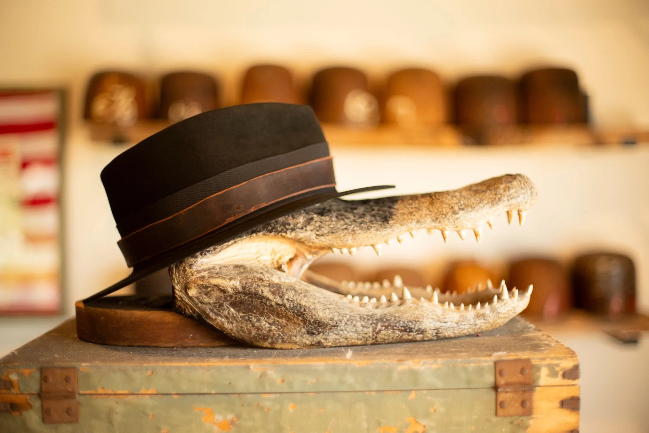 - Larry&rsquo;s No. 3. Dress weight nutria, tight fedora. 

#TilDeathHatCo #Millinery #Ybor 
/