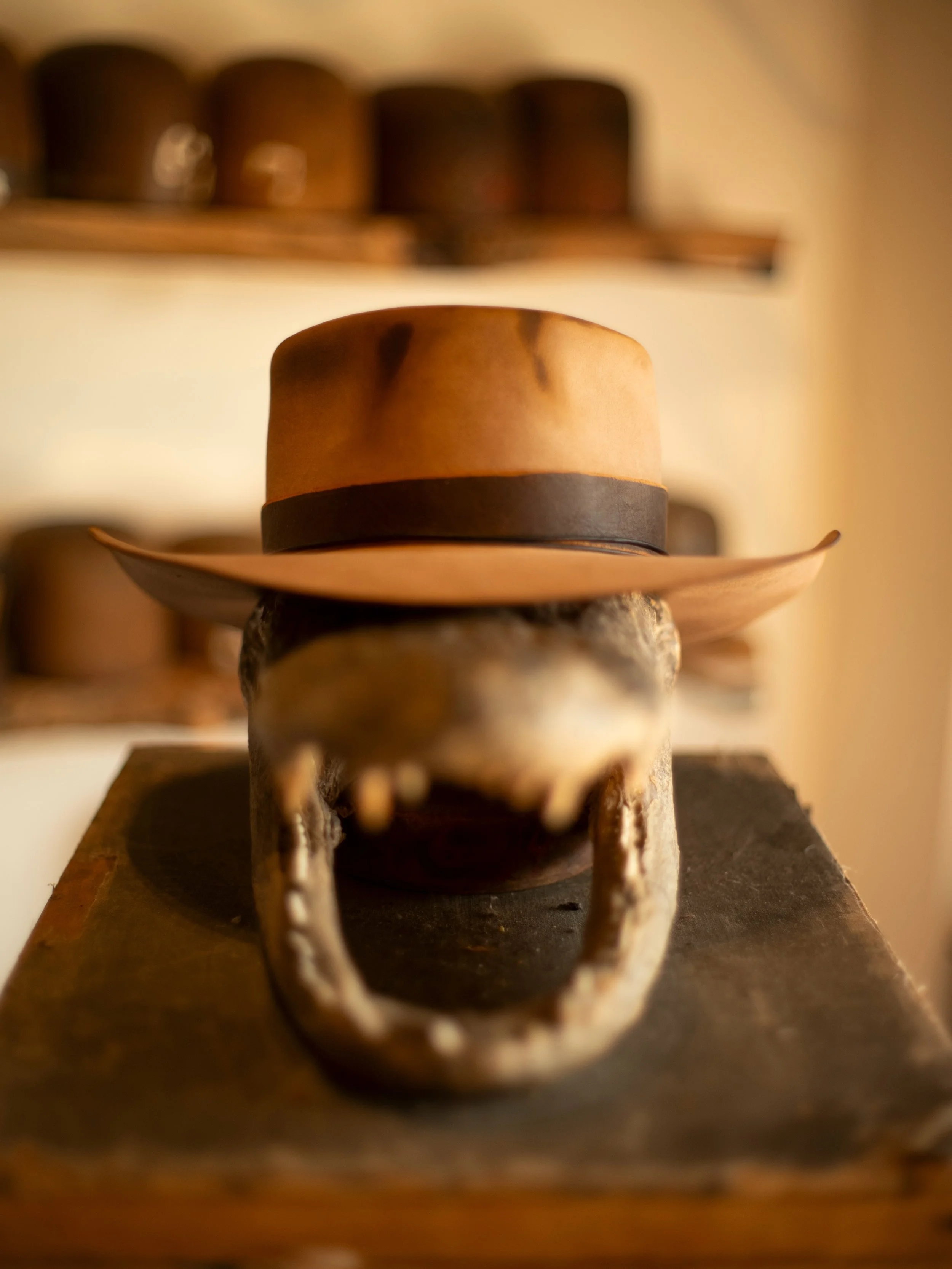 - Pure beaver for Wil. Needn&rsquo;t add more.

#TilDeathHatCo #Millinery #Ybor