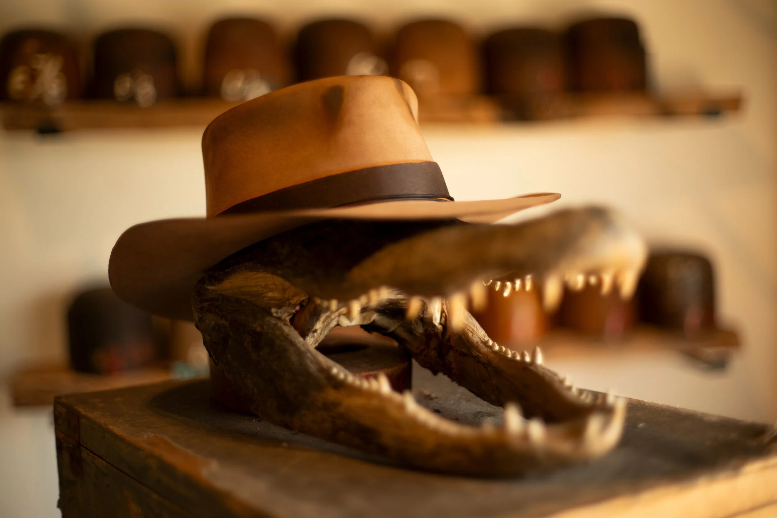 - Pure beaver for Wil. Needn&rsquo;t add more.

#TilDeathHatCo #Millinery #Ybor