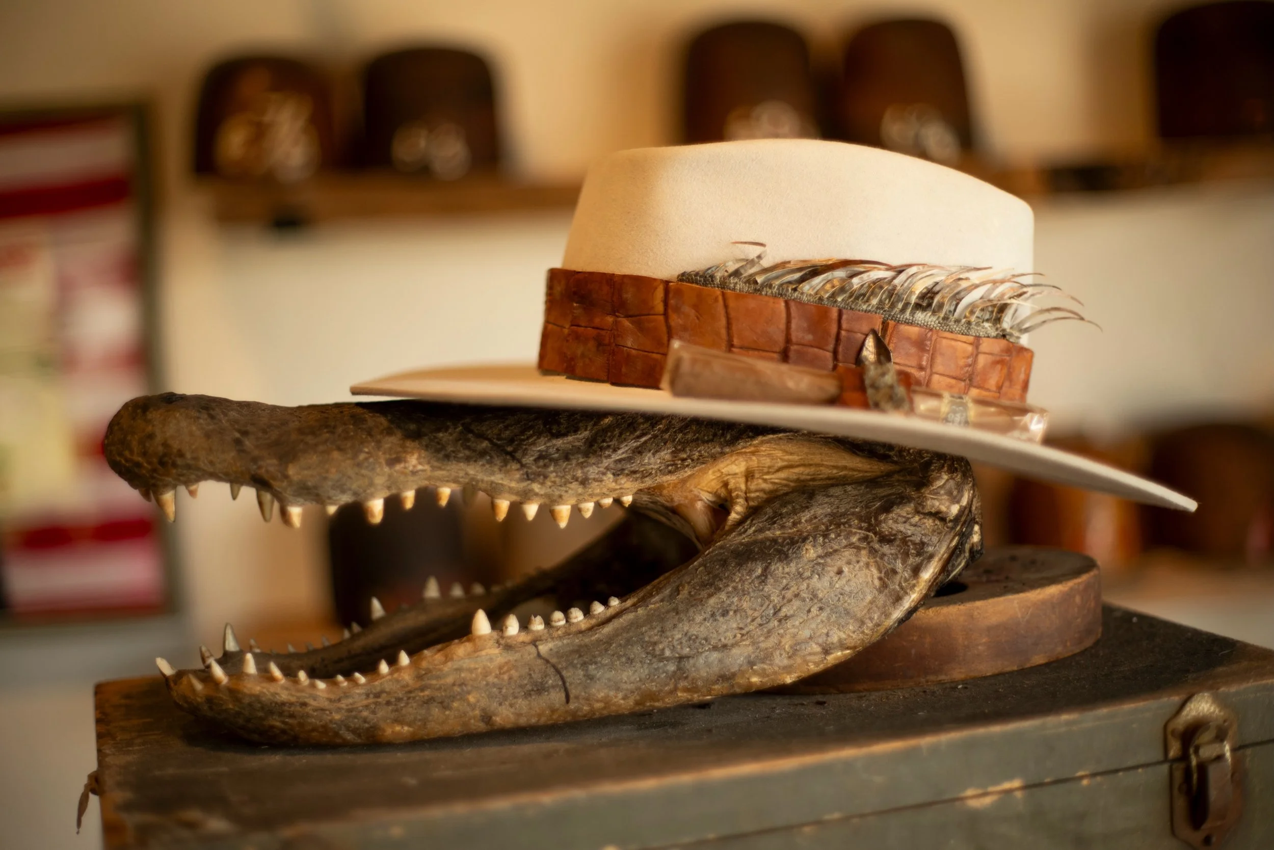 - Made for Steve, the silverbelly nutria with &ldquo;Meggie&rsquo;s Brick&rdquo; crown. Vintage cognac alligator, iguana accents, gold-plated tobacco leaf, twisted Texas toothpick, cigar holder on the brim. 

#TilDeathHatCo #Millinery #Ybor