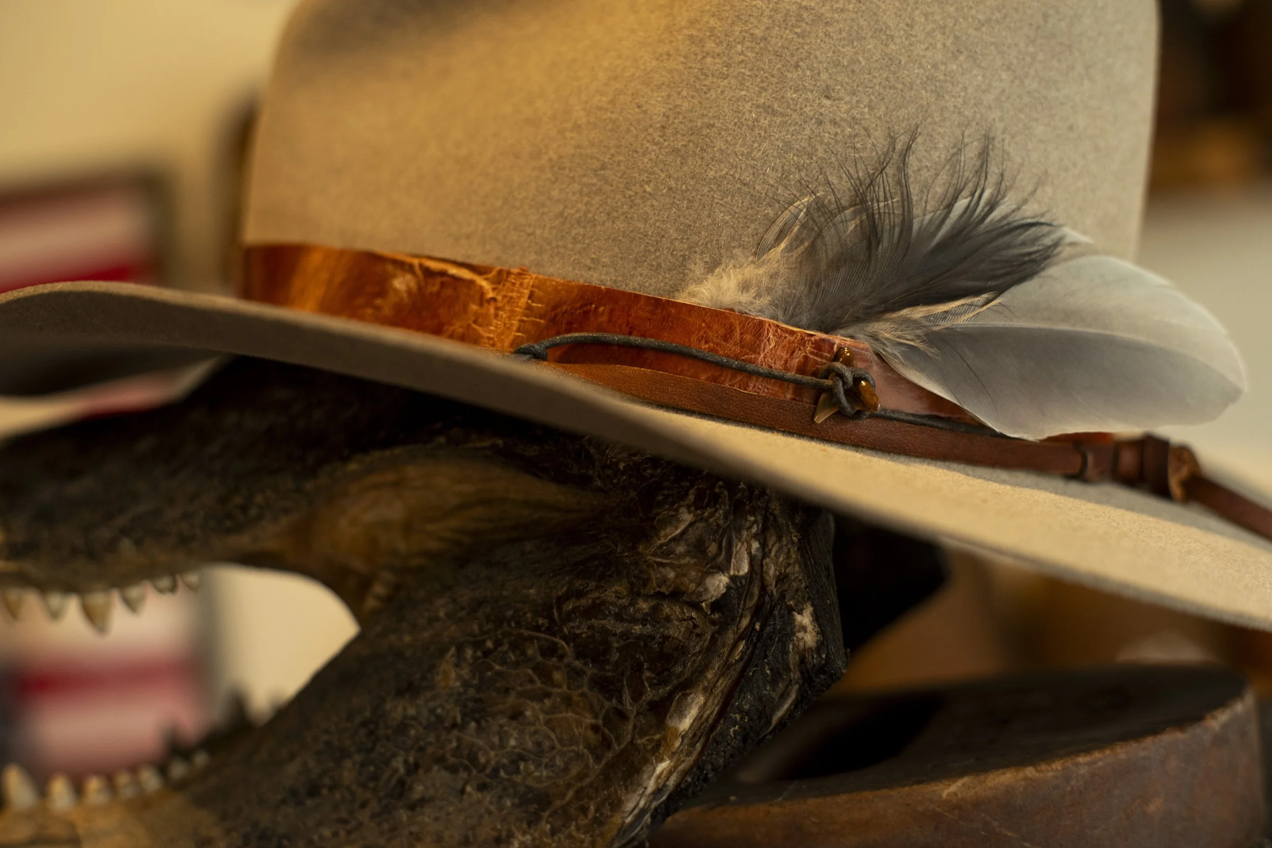 Gus-meets-fedora style hat with alligator leather band and shark tooth, made in West Ybor by Til Death Hat Co.