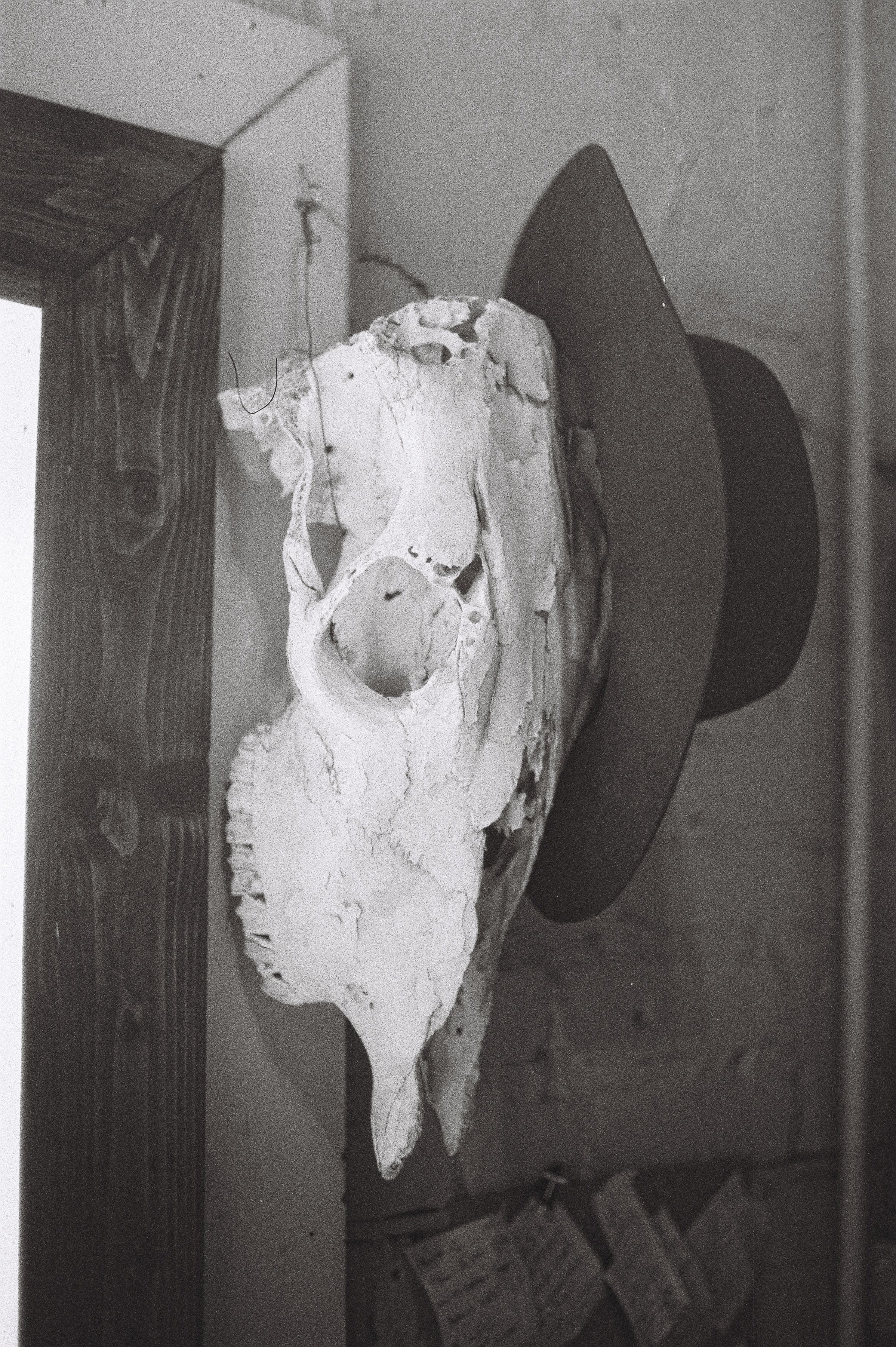 Inside the showroom at Til Death Hat Co in West Ybor, Tampa, Florida. Custom western wear cowboy hats. Best Ybor Shop, Best Florida Hat Shop, Better Than a Hat Bar. Boho, Tecovas, Coastal.