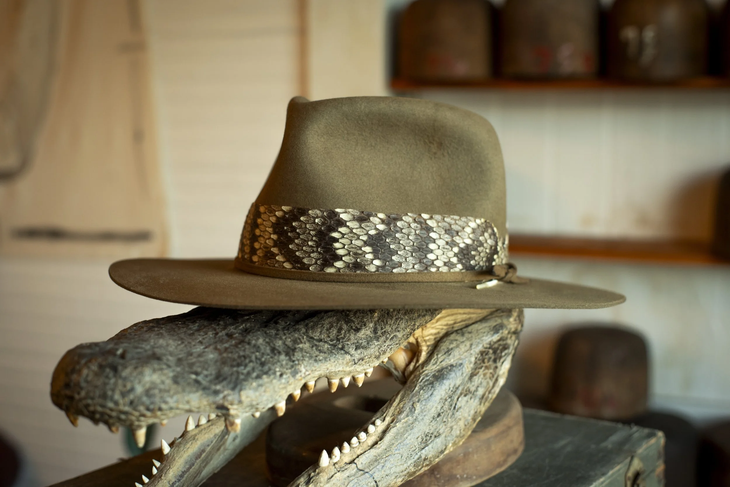 Custom fur felt hat in Florida, eastern diamondback rattlesnake band, made in Ybor, Tampa, by Til Death Hat Co. Best Ybor Shop, Best Florida Hat Shop, Better Than a Hat Bar. Boho, Tecovas, Coastal.