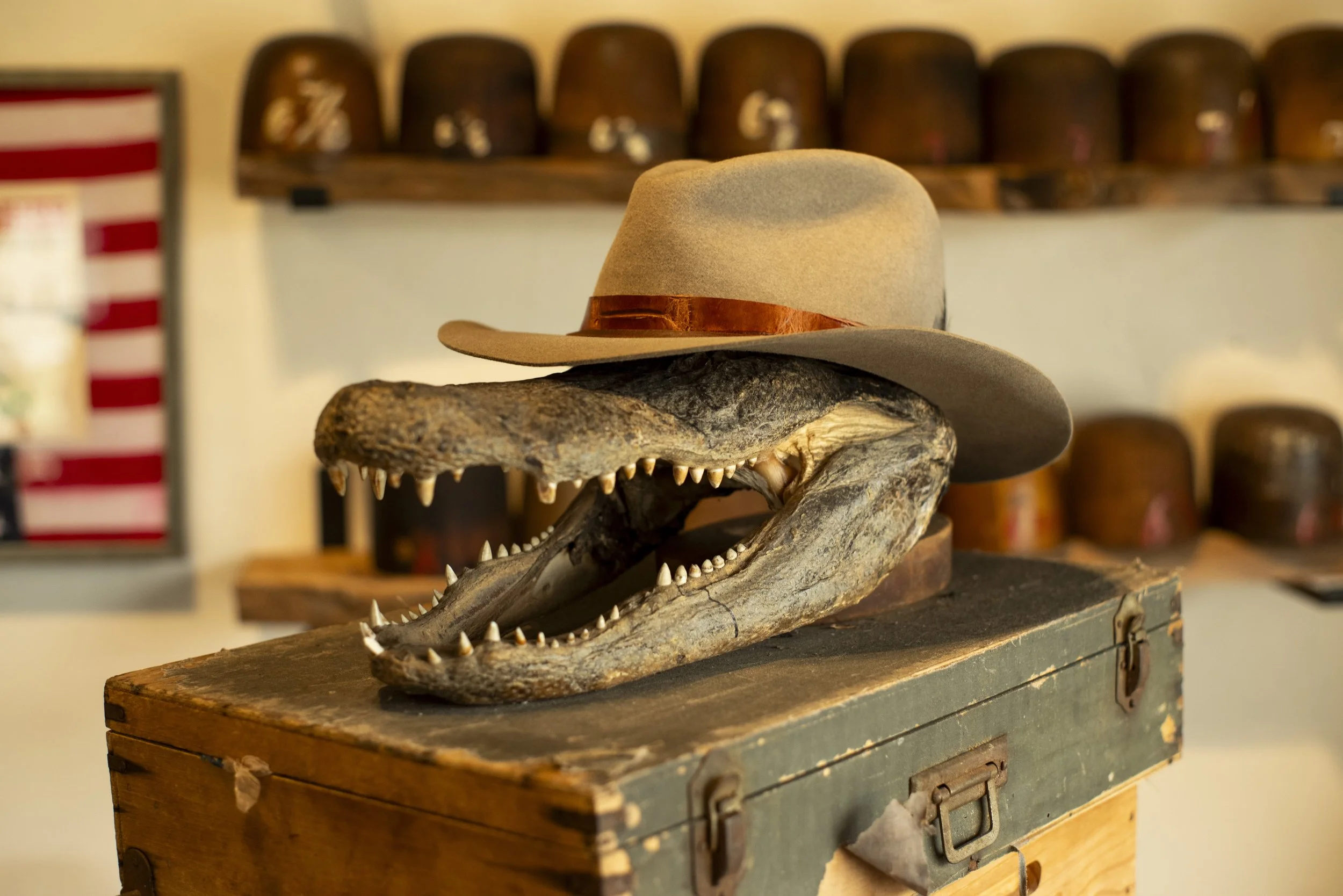Gus-meets-fedora style hat with alligator leather band and shark tooth, made in West Ybor by Til Death Hat Co.