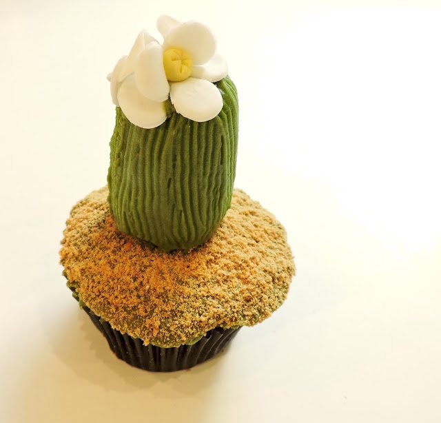 cupcake cactus flor blanca