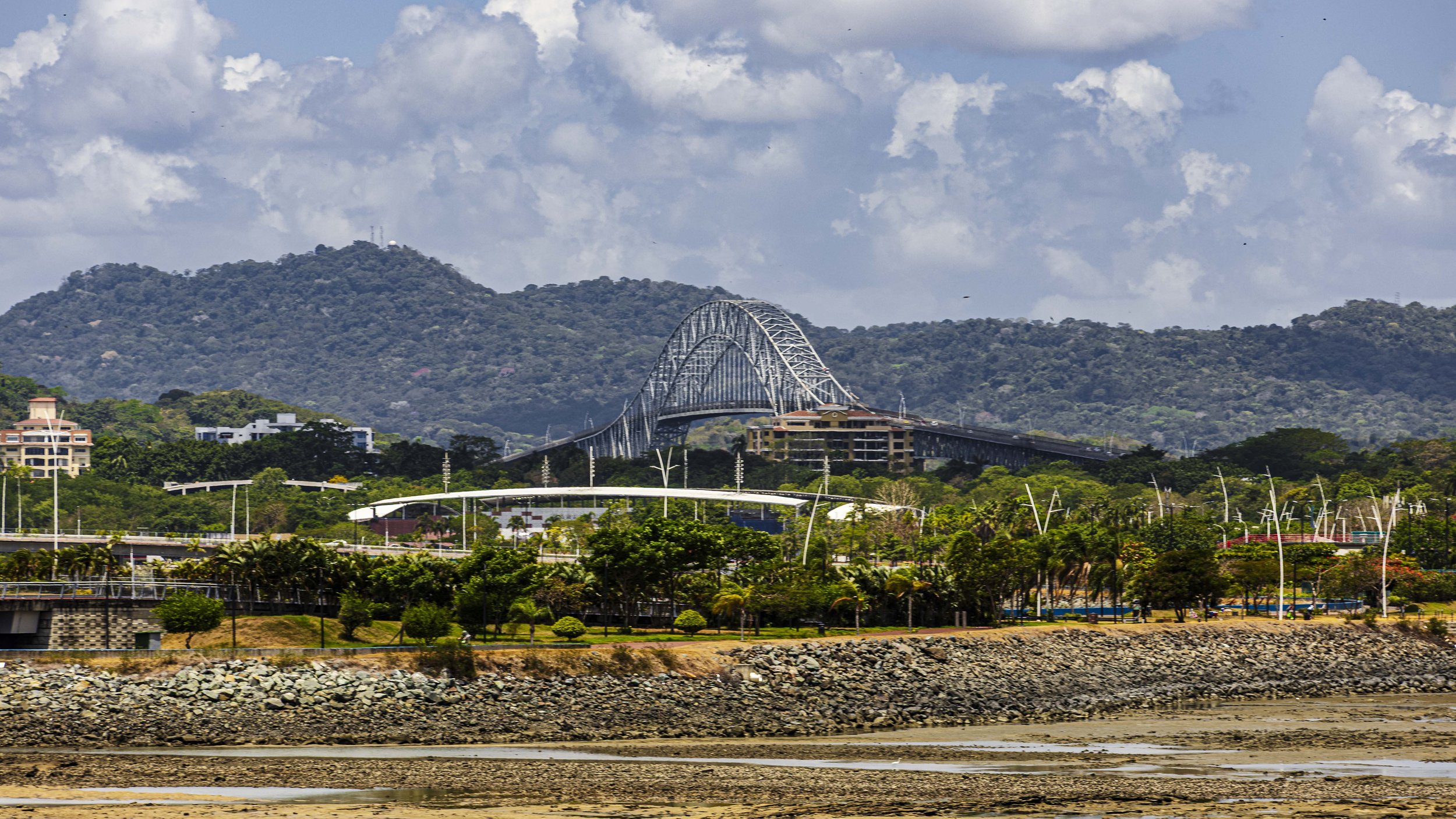 PTY-47.jpg