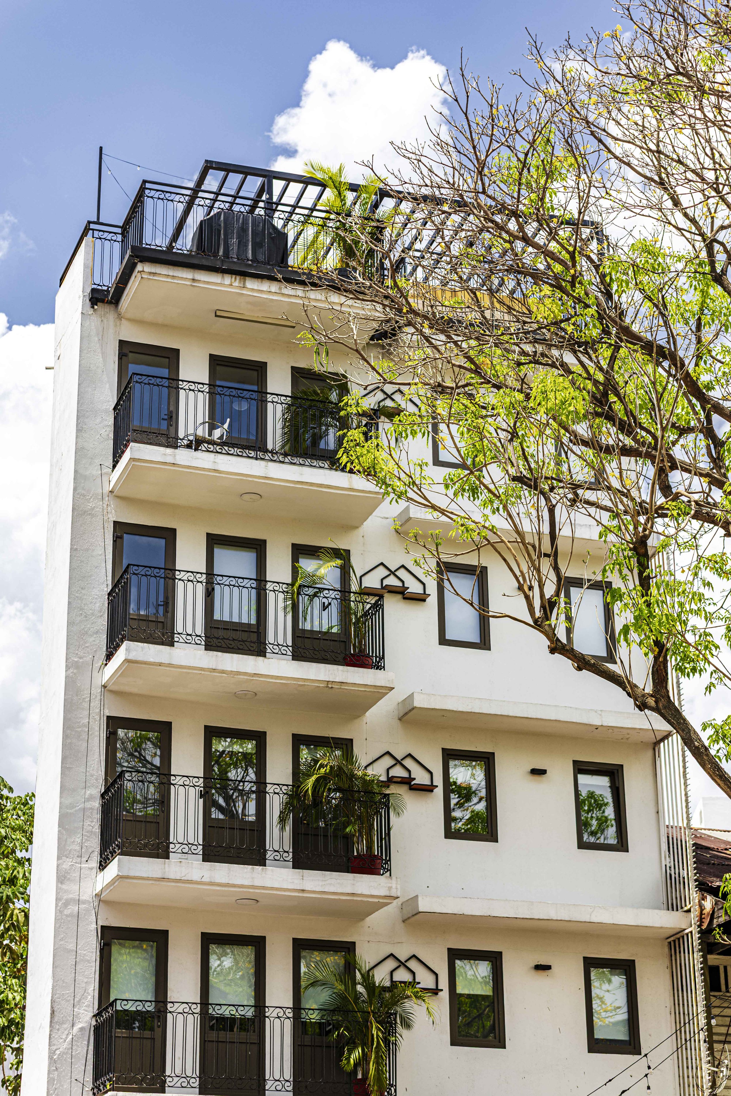 PTY-140.jpg