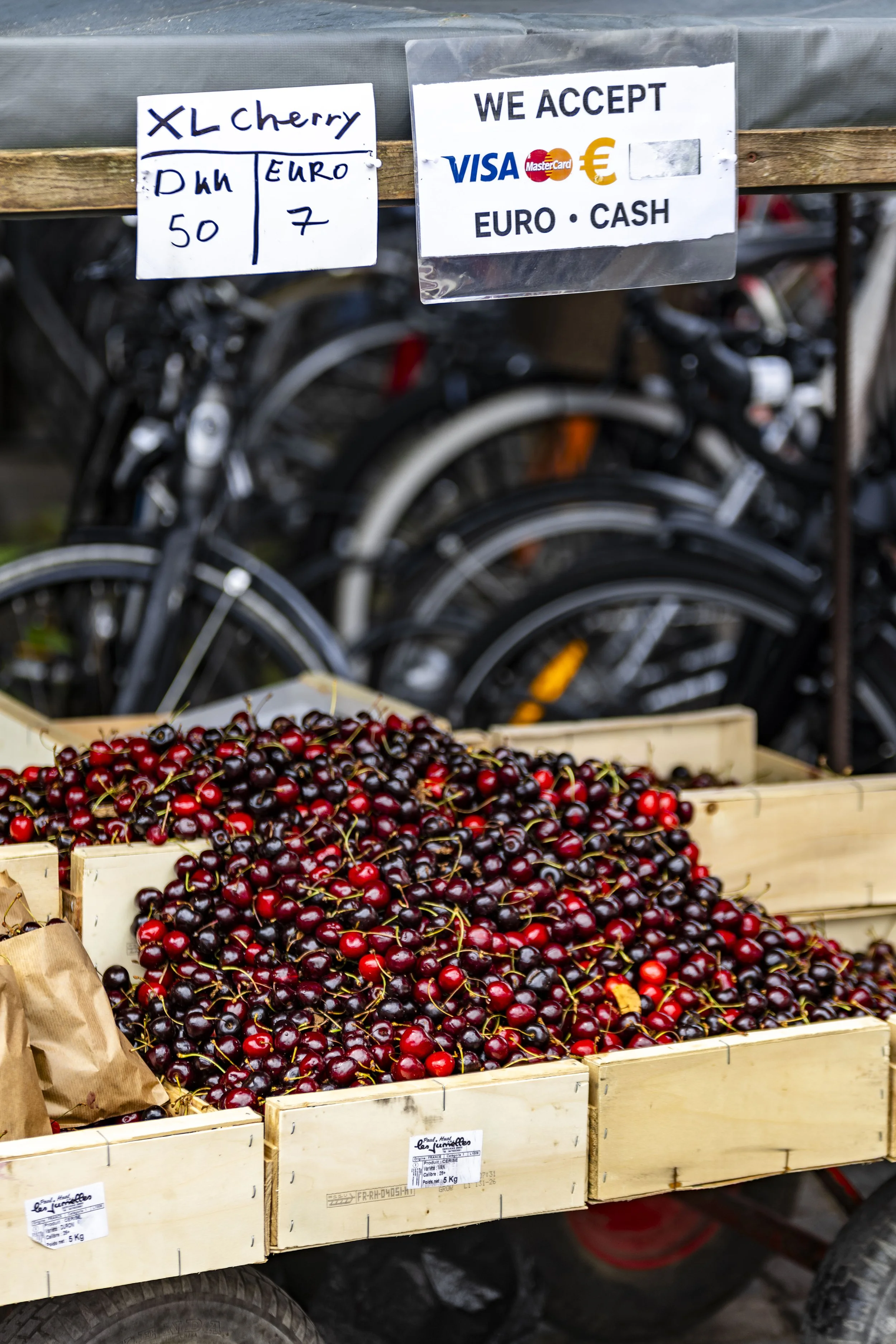CPH-5.jpg