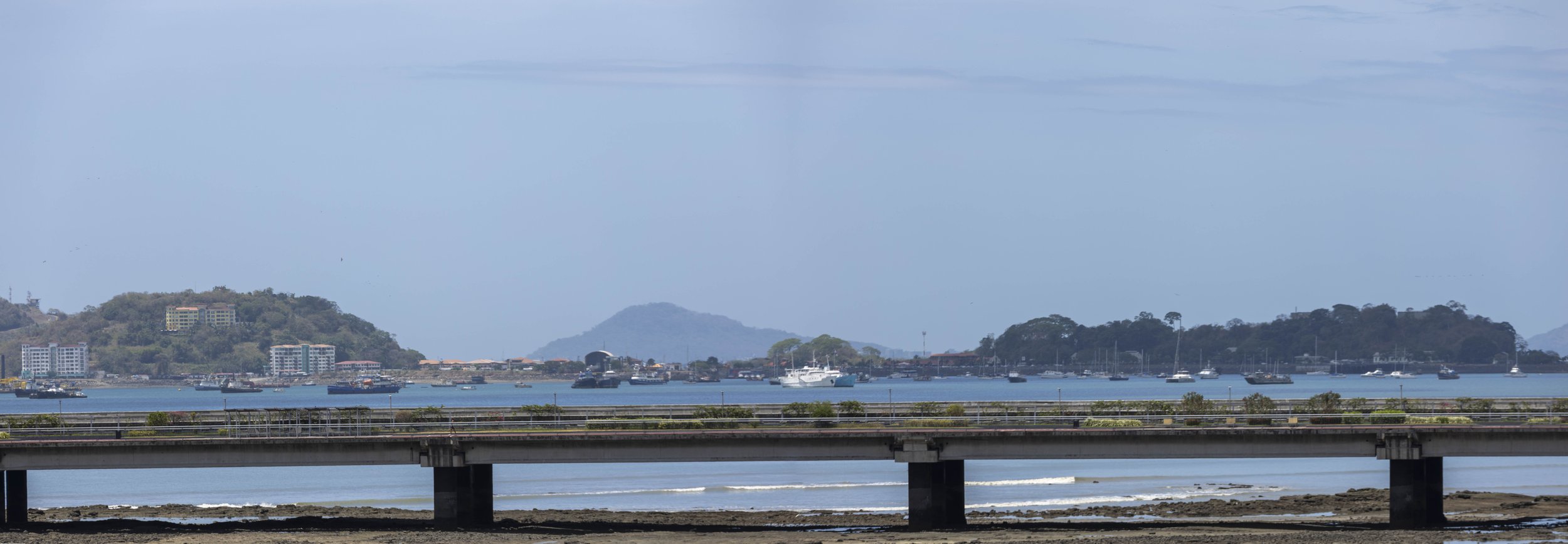 PTY-46.jpg