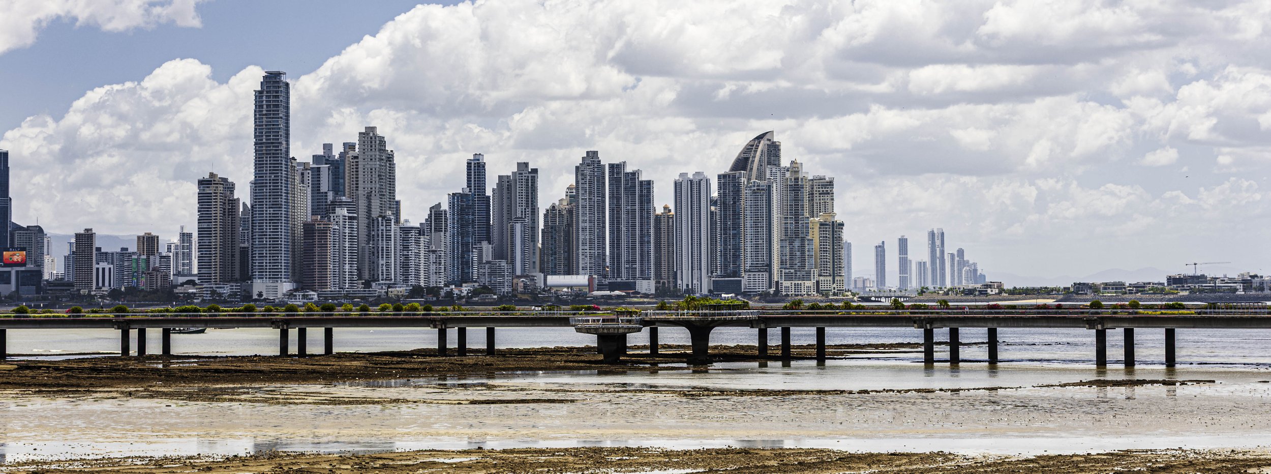 PTY-43.jpg