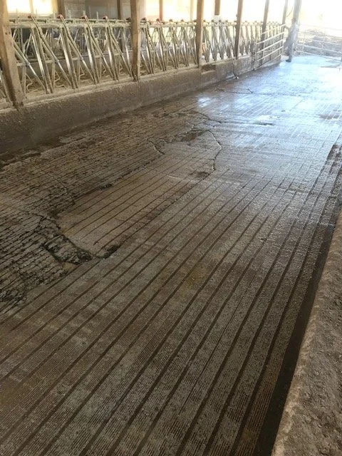 AGRI-TRAC on OLD floor1.jpg