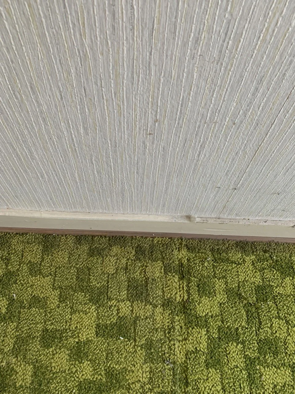 Groß (IMG_0983).jpeg