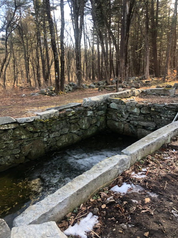 Screenshot 2024-01-17 134131.png