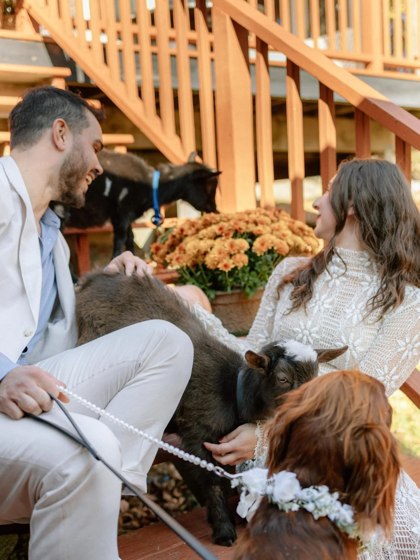 Beautifully chaotic. Wouldn&rsquo;t have it any other way. 🐐