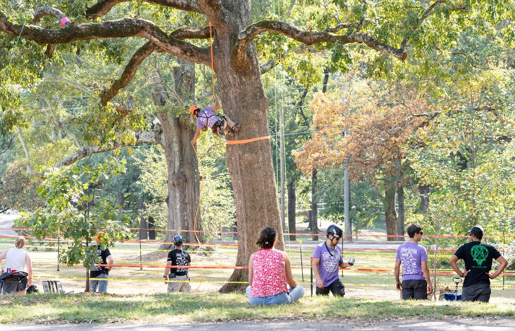 2024TreeClimbComp-170.jpg
