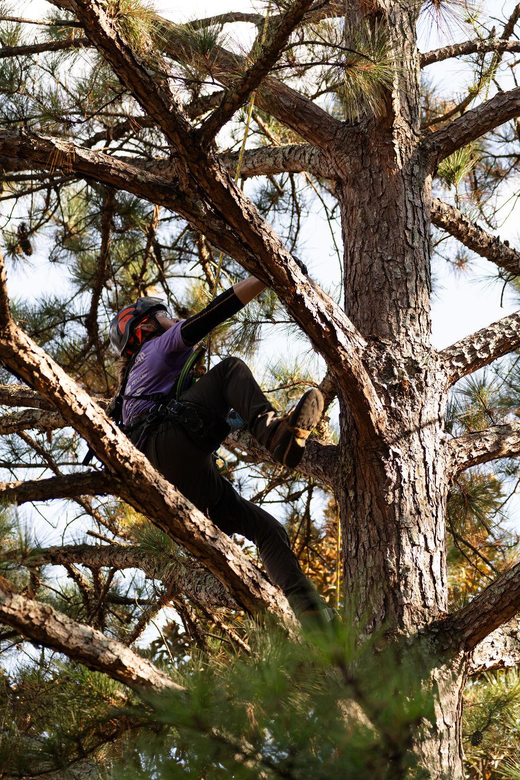 2024TreeClimbComp-195.jpg