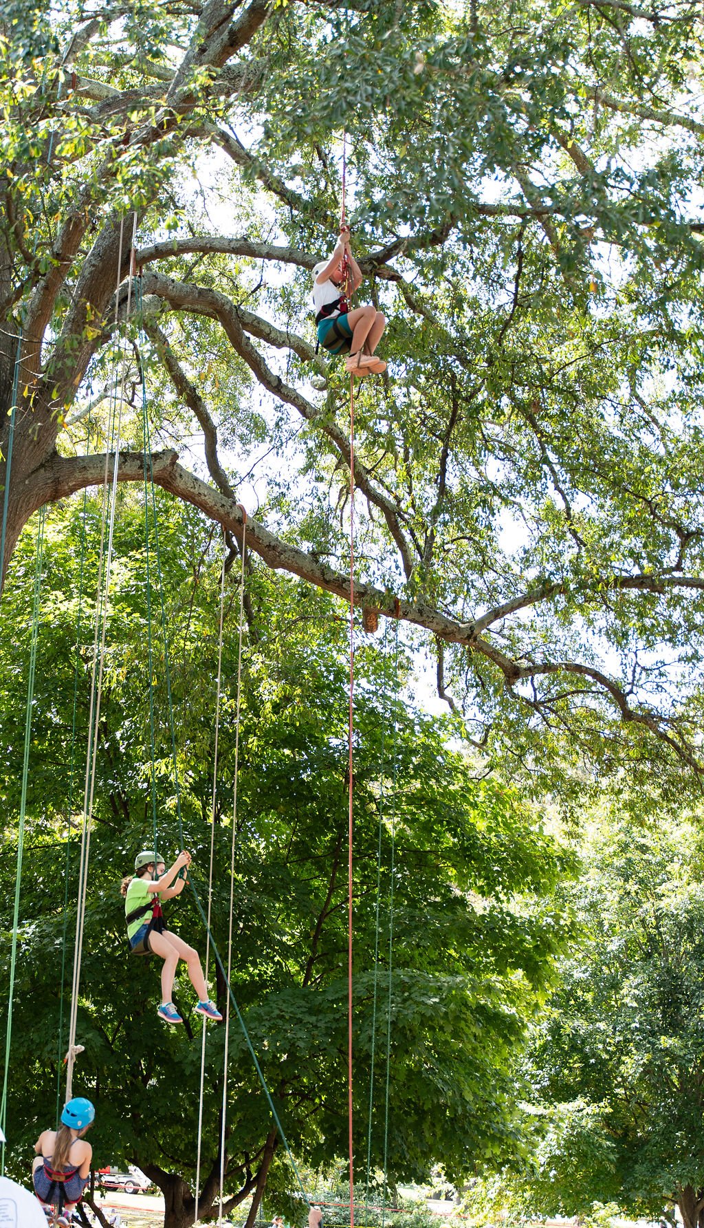 2024TreeClimbComp-008.jpg