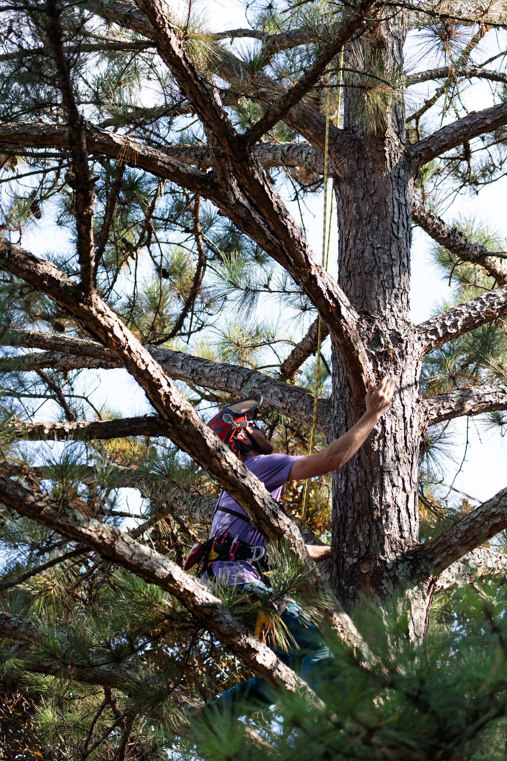 2024TreeClimbComp-193.jpg