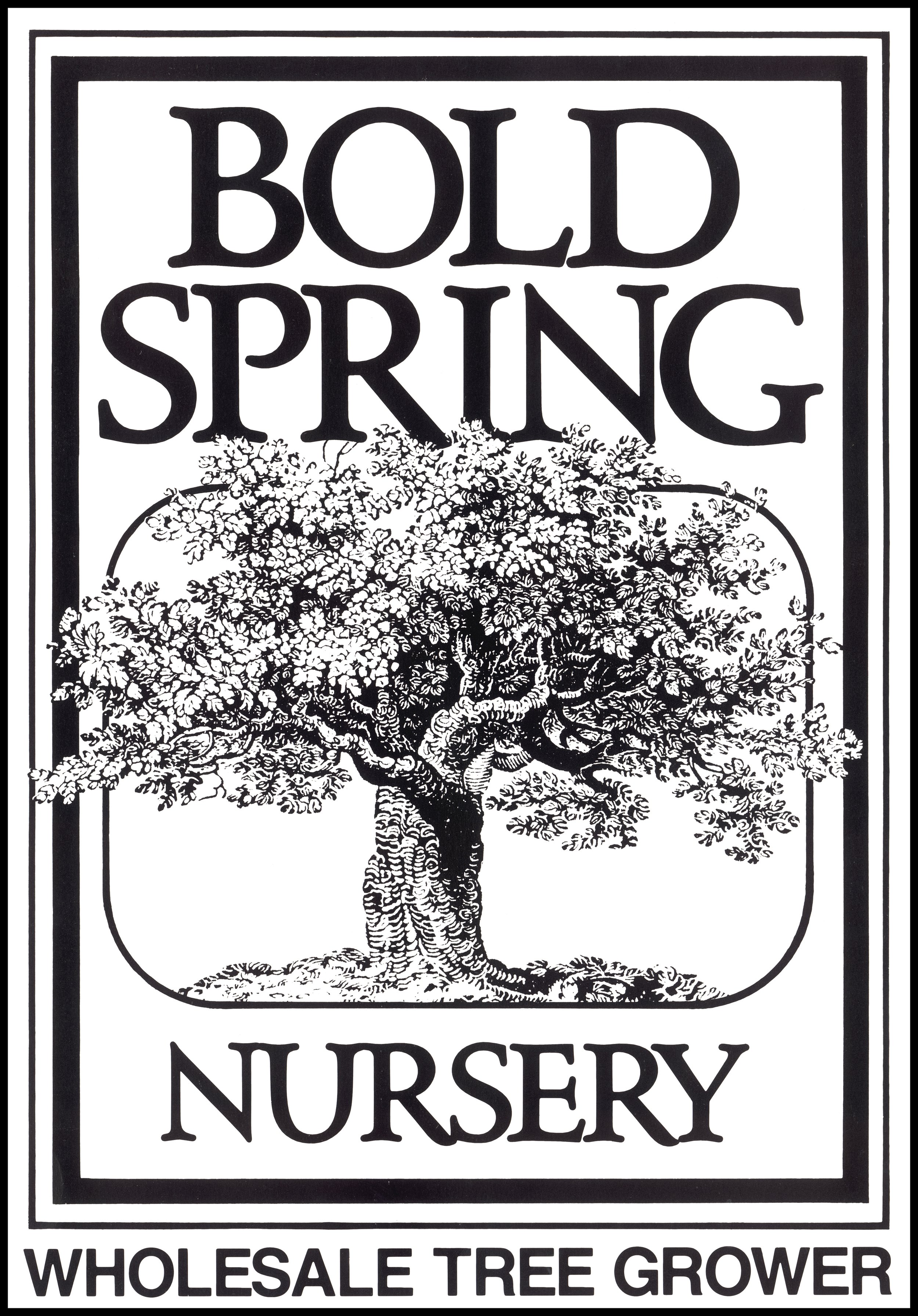 Bold Spring web logo NEW large.jpg