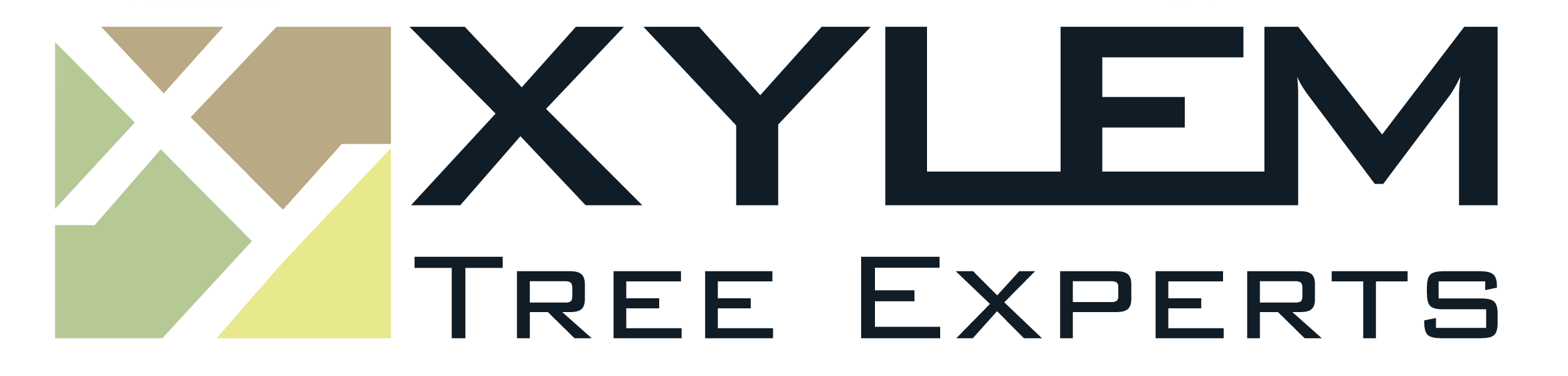 Xylem Logo.png